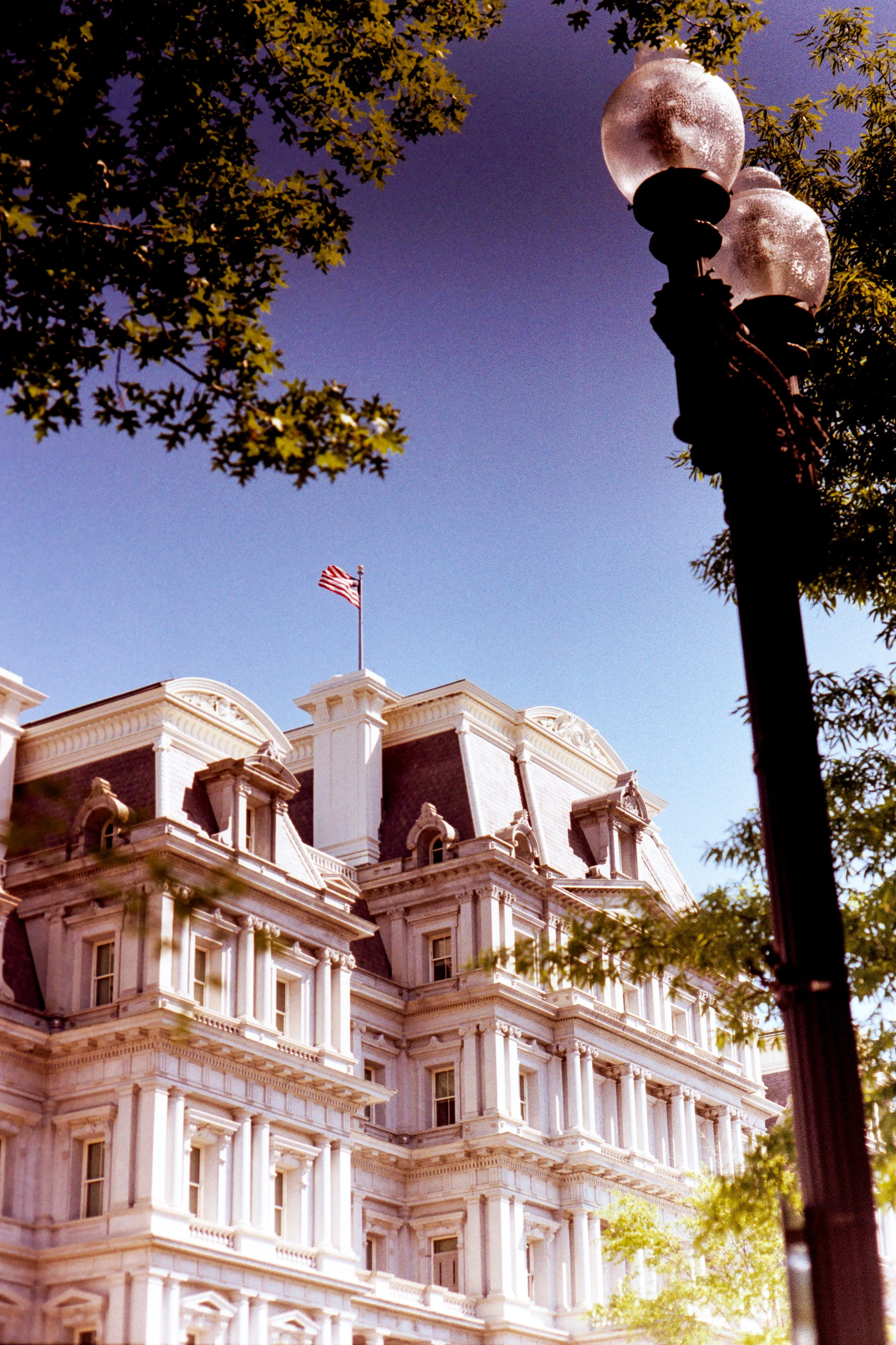 DC Kodacolor 100-31.jpg