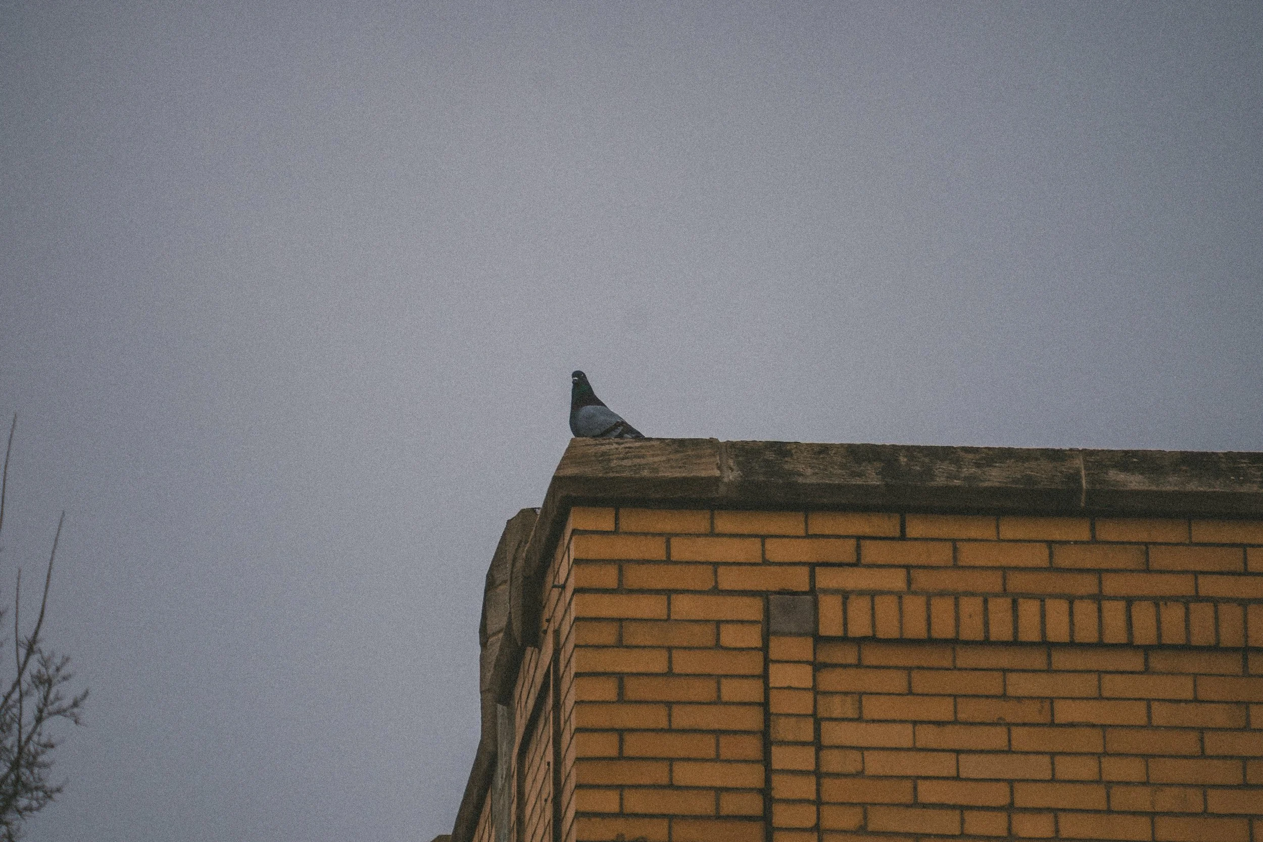 Chicago-105.jpg