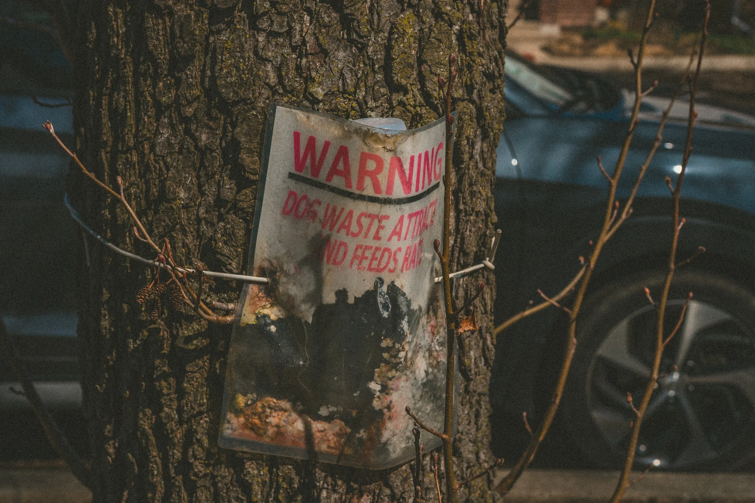 Chicago-55.jpg