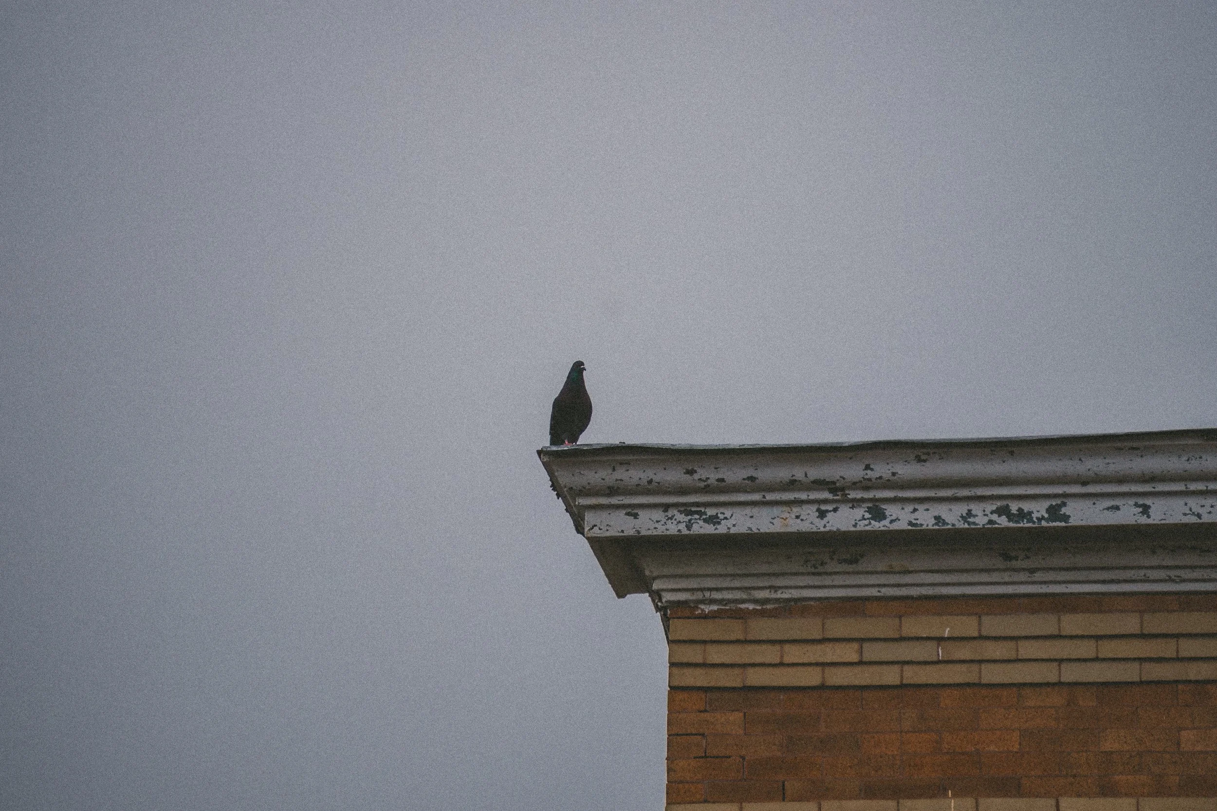 Chicago-104.jpg