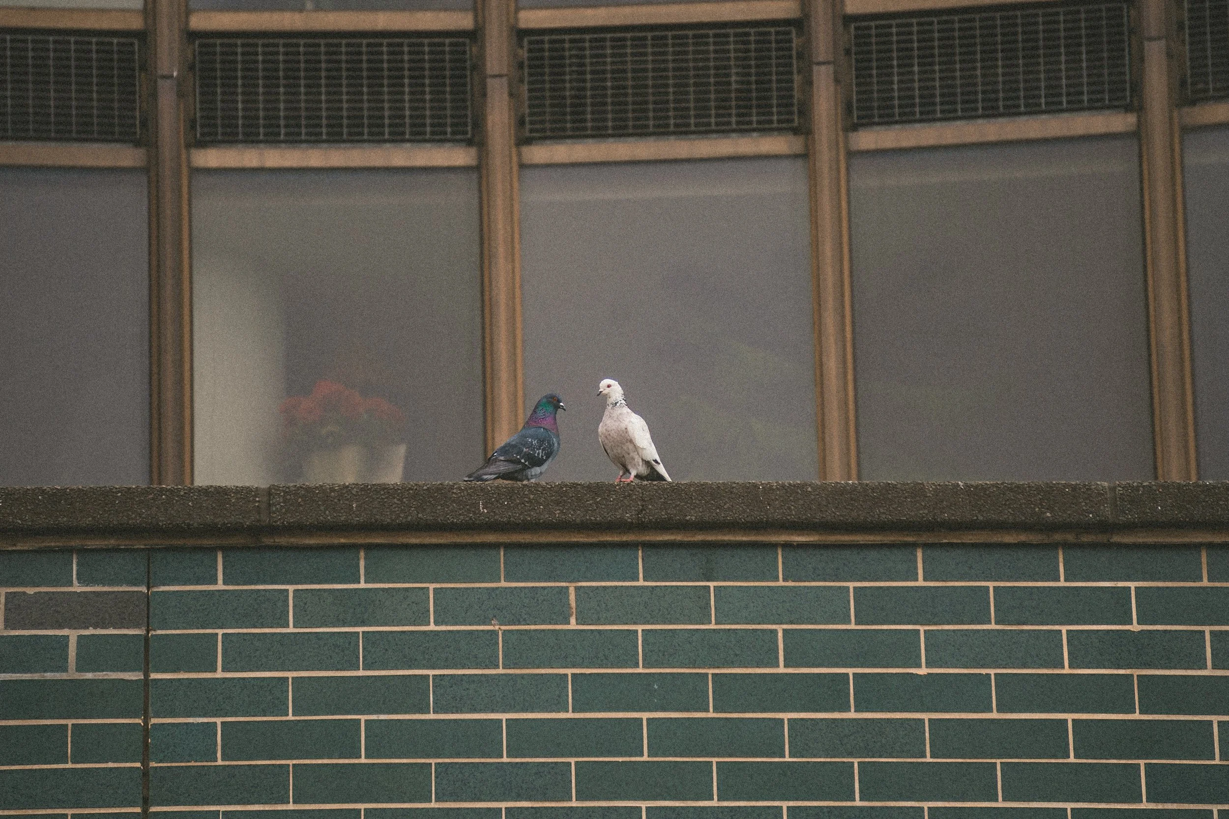 Chicago-129.jpg