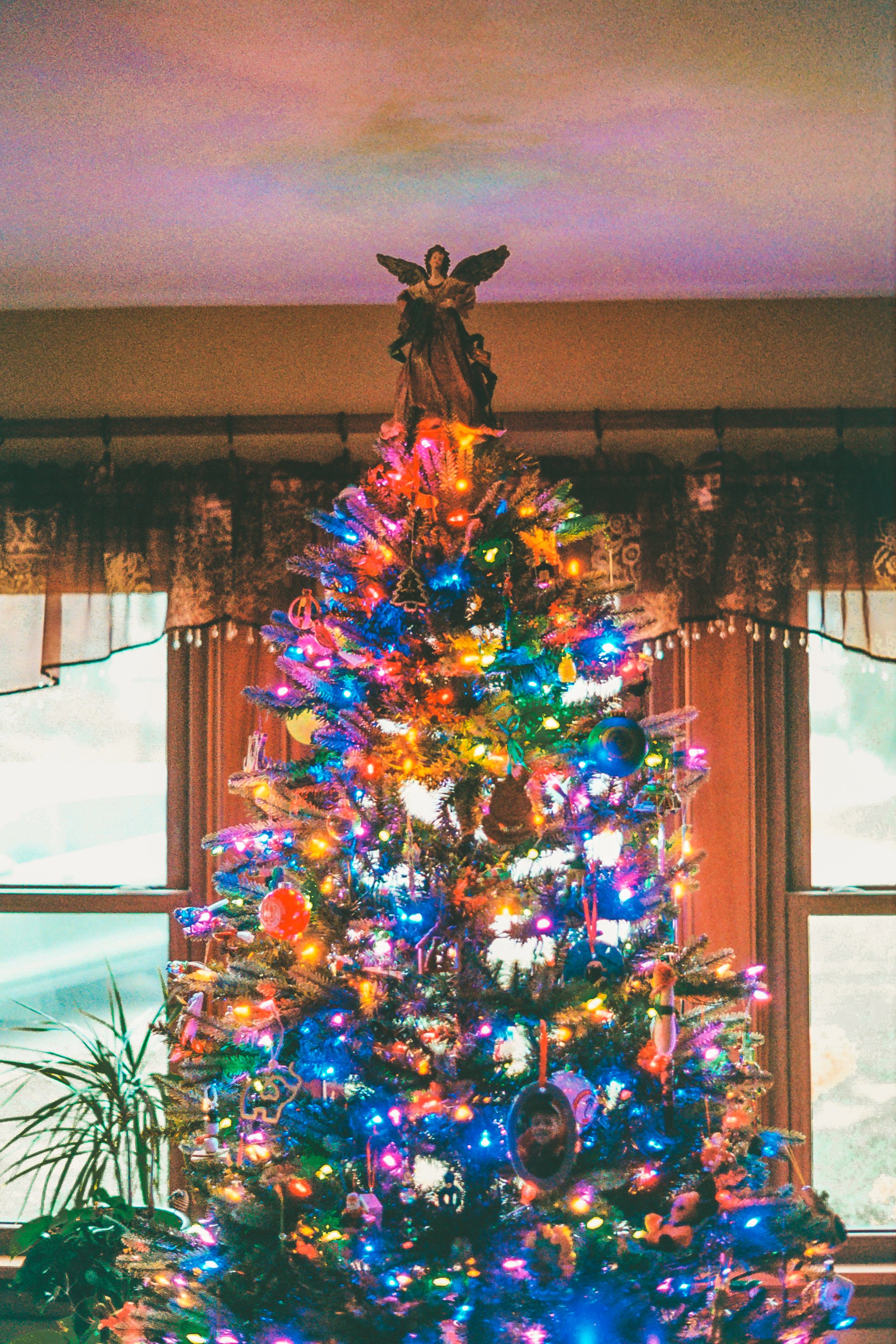 christmas-12.jpg