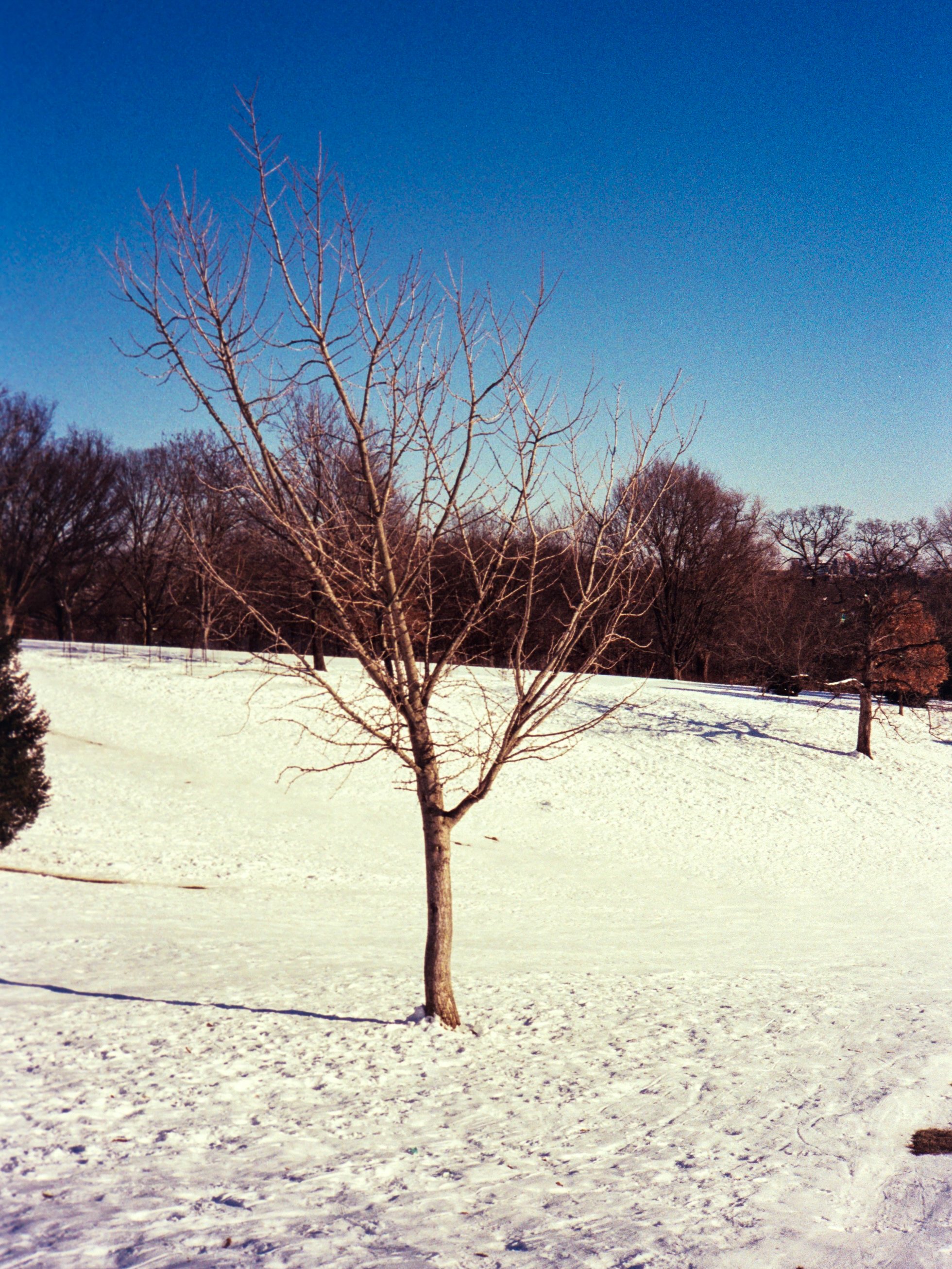 SLEDING FILM-14.jpg