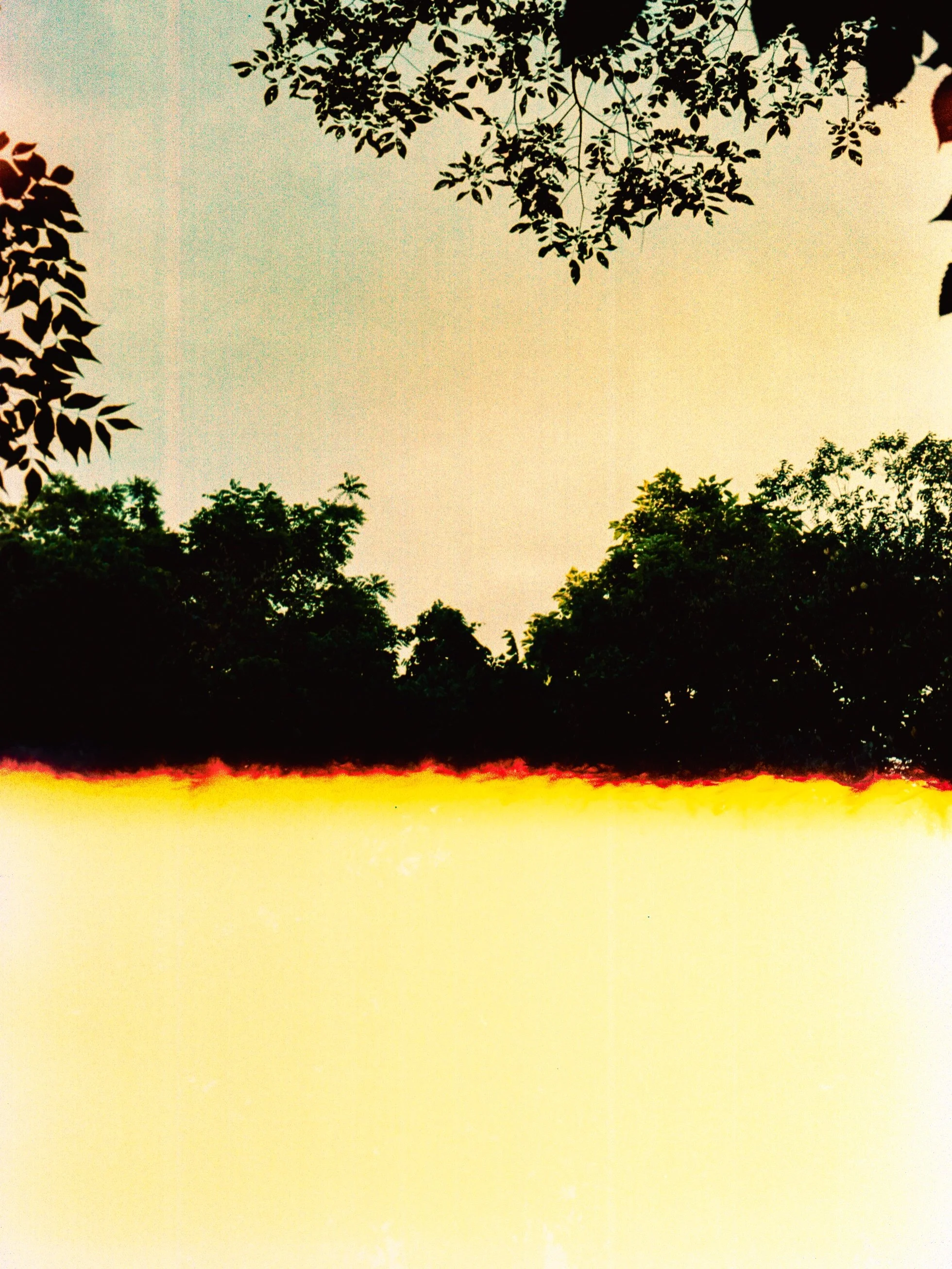 hazy summer days on expired @krogerco film 

|| june 2026 ||
|| expired @filmferrania on a #minoltax700 ||
&mdash;&mdash;&mdash; &mdash;&mdash;&mdash; &mdash;&mdash;&mdash; &mdash;&mdash;&mdash; &mdash;&mdash;&mdash; &mdash;&mdash;&mdash;
#firstofthe