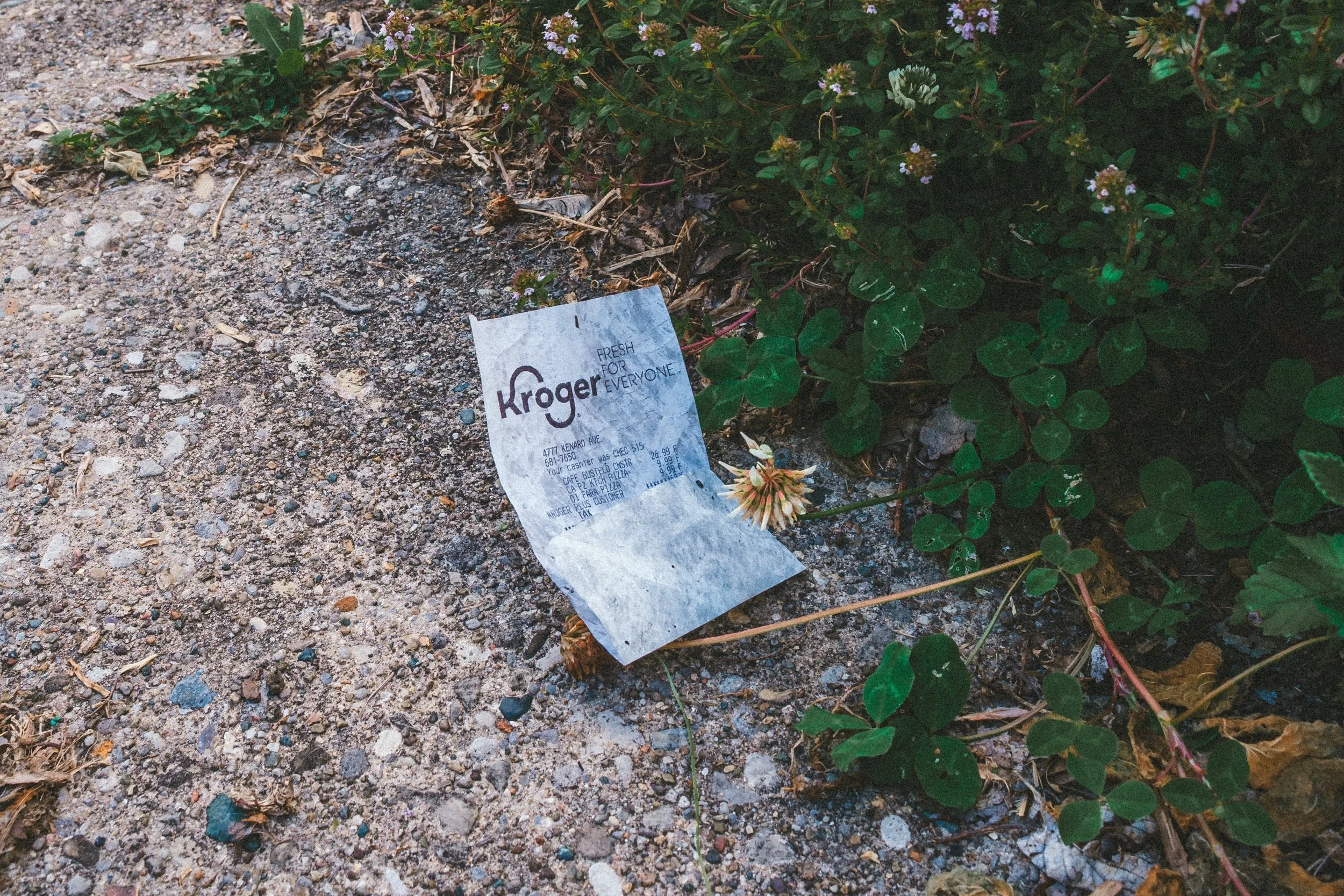 all the usual northside nonsense 

|| june 2026 || #sonya7iii ||