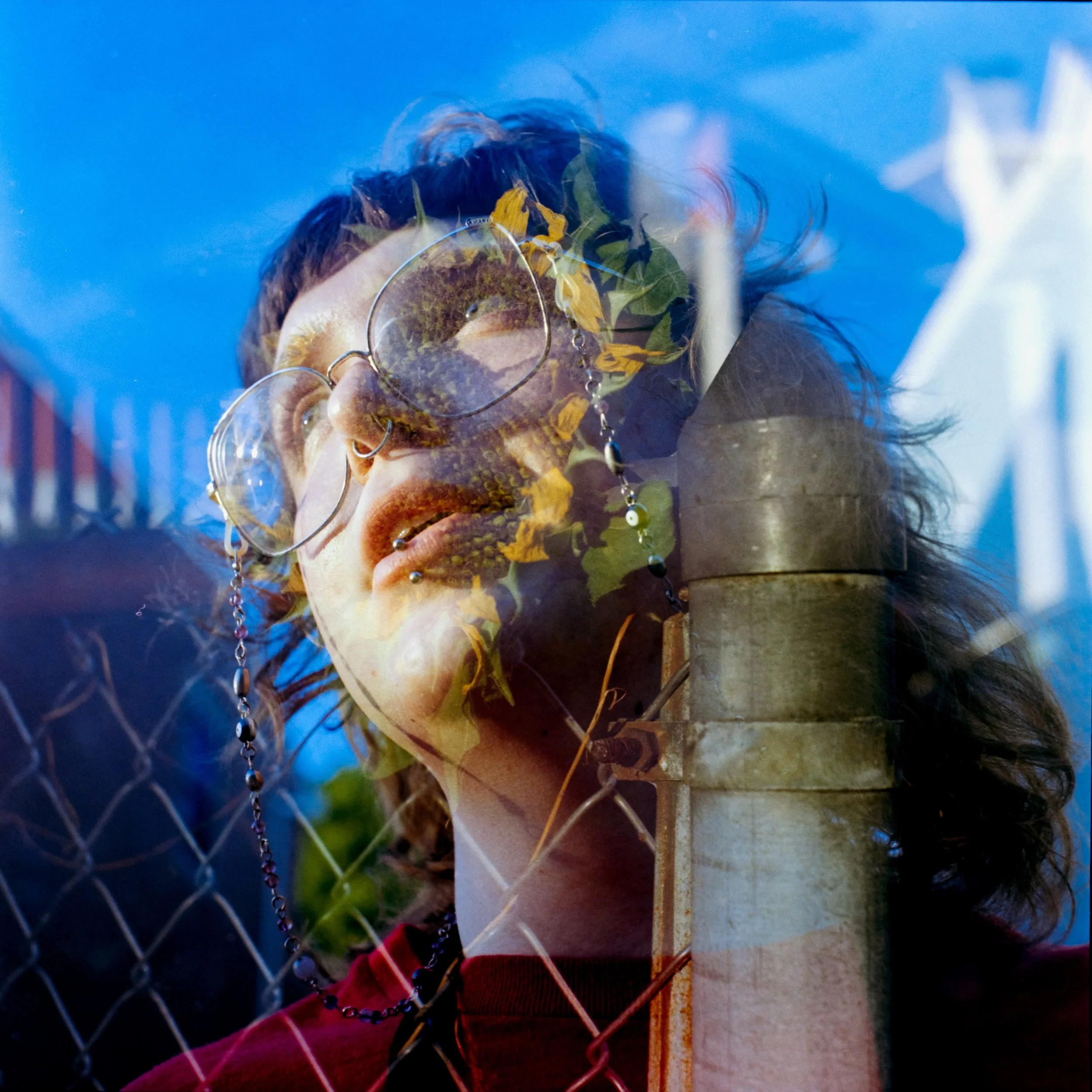 loving kodak gold on medium format

|| august 2026 ||
|| #kodakgold200 on a #mamiyac220 ||
|| self dev &amp; scan ||
&mdash;&mdash;&mdash; &mdash;&mdash;&mdash; &mdash;&mdash;&mdash; &mdash;&mdash;&mdash; &mdash;&mdash;&mdash;
@kodak #madewithkodak