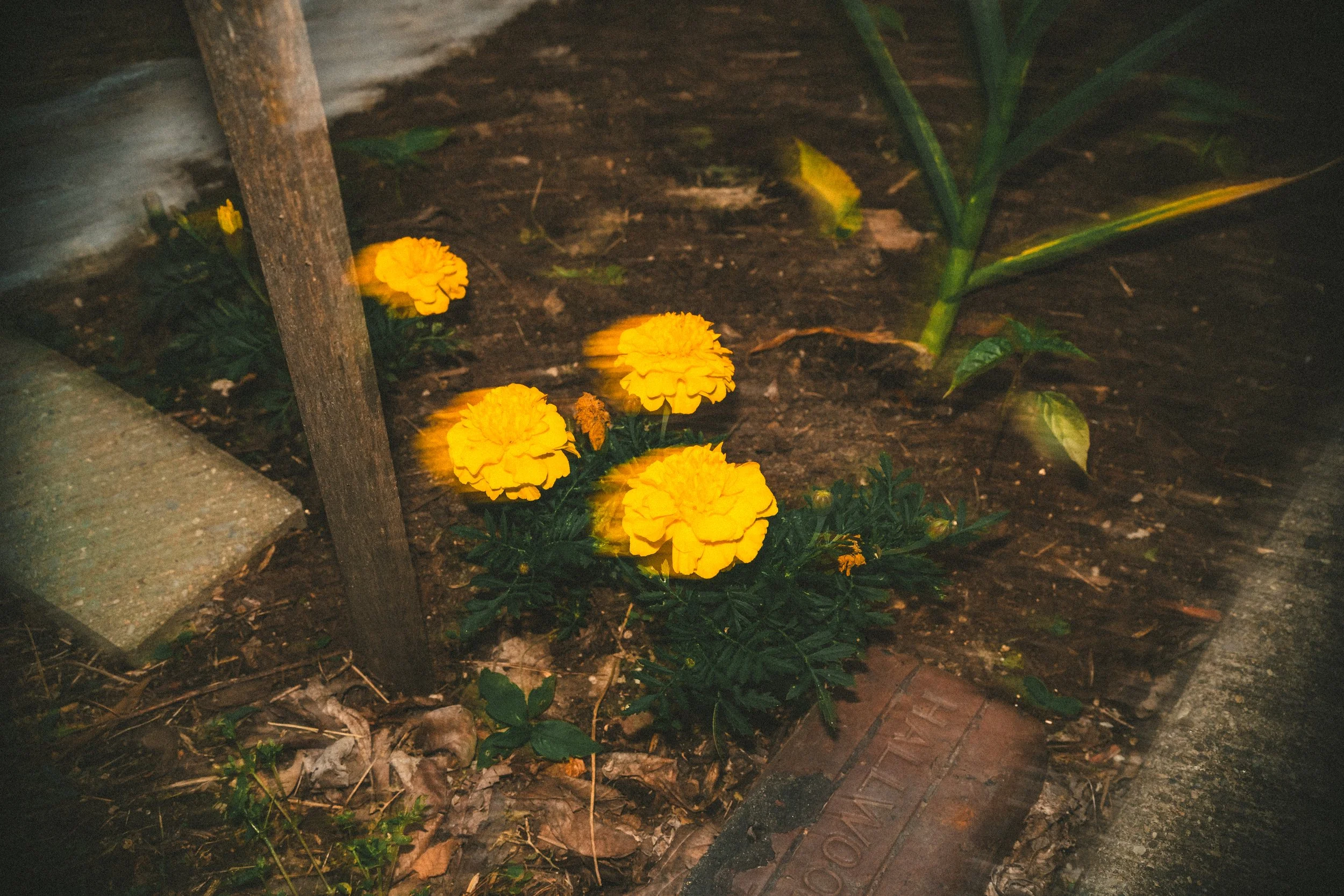 misc nrthsid-57.jpg