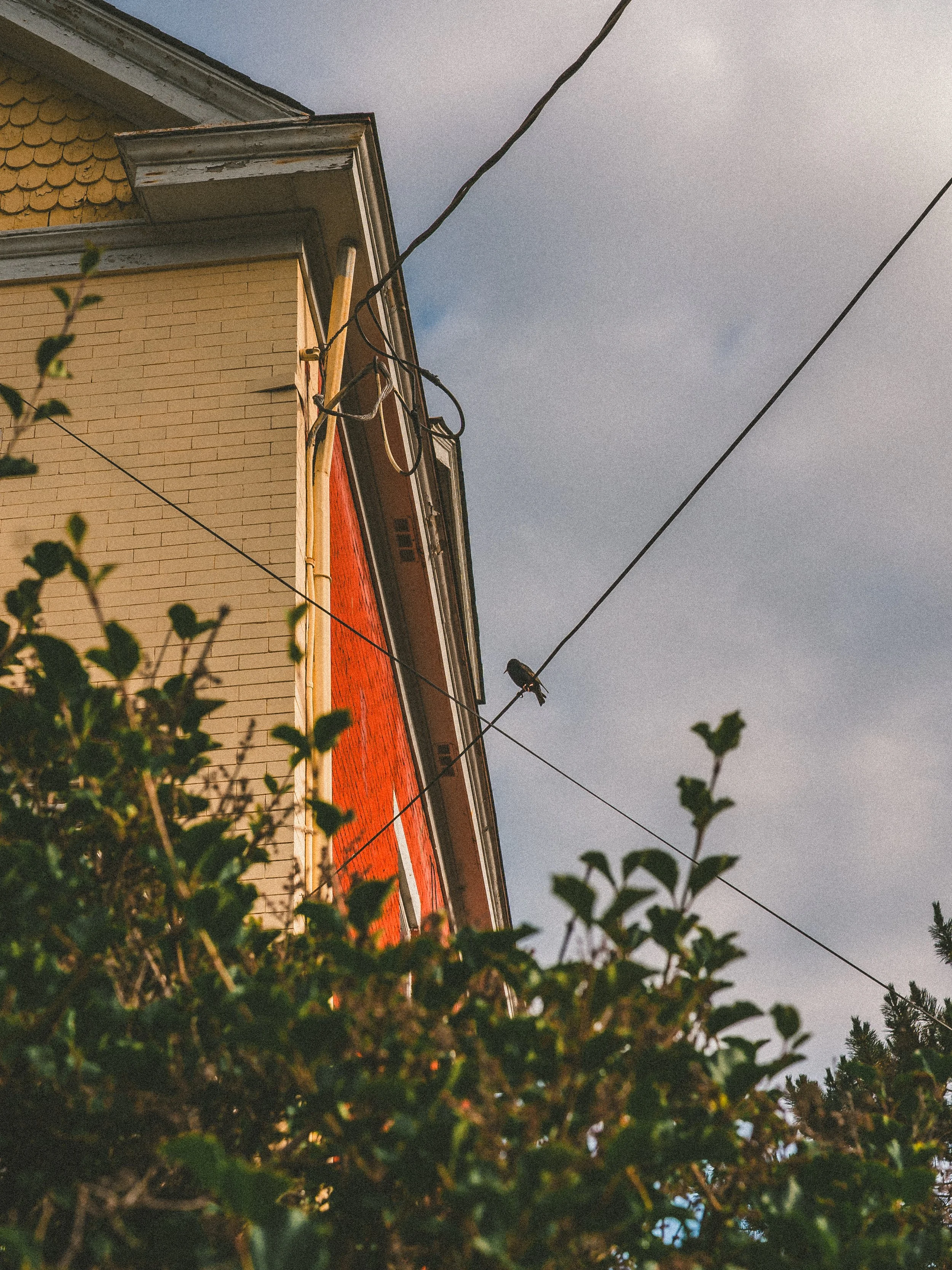 northside misc-10.jpg