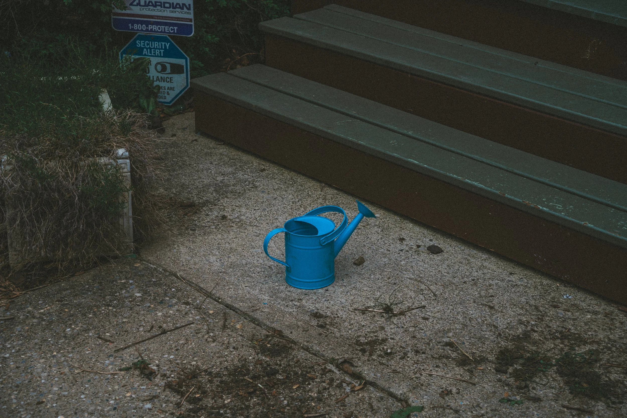 misc northside may-21.jpg