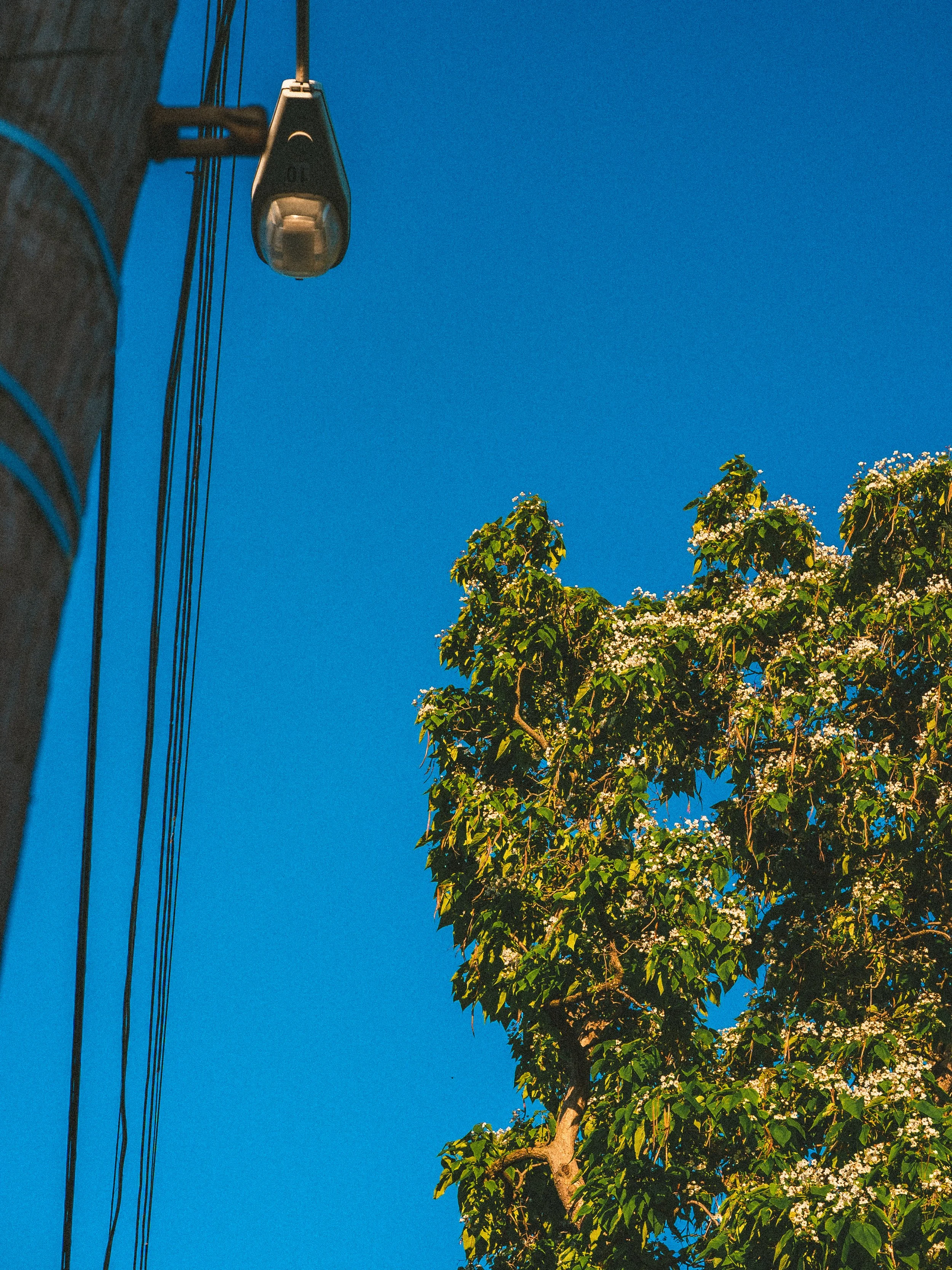 northside misc mayy-34.jpg