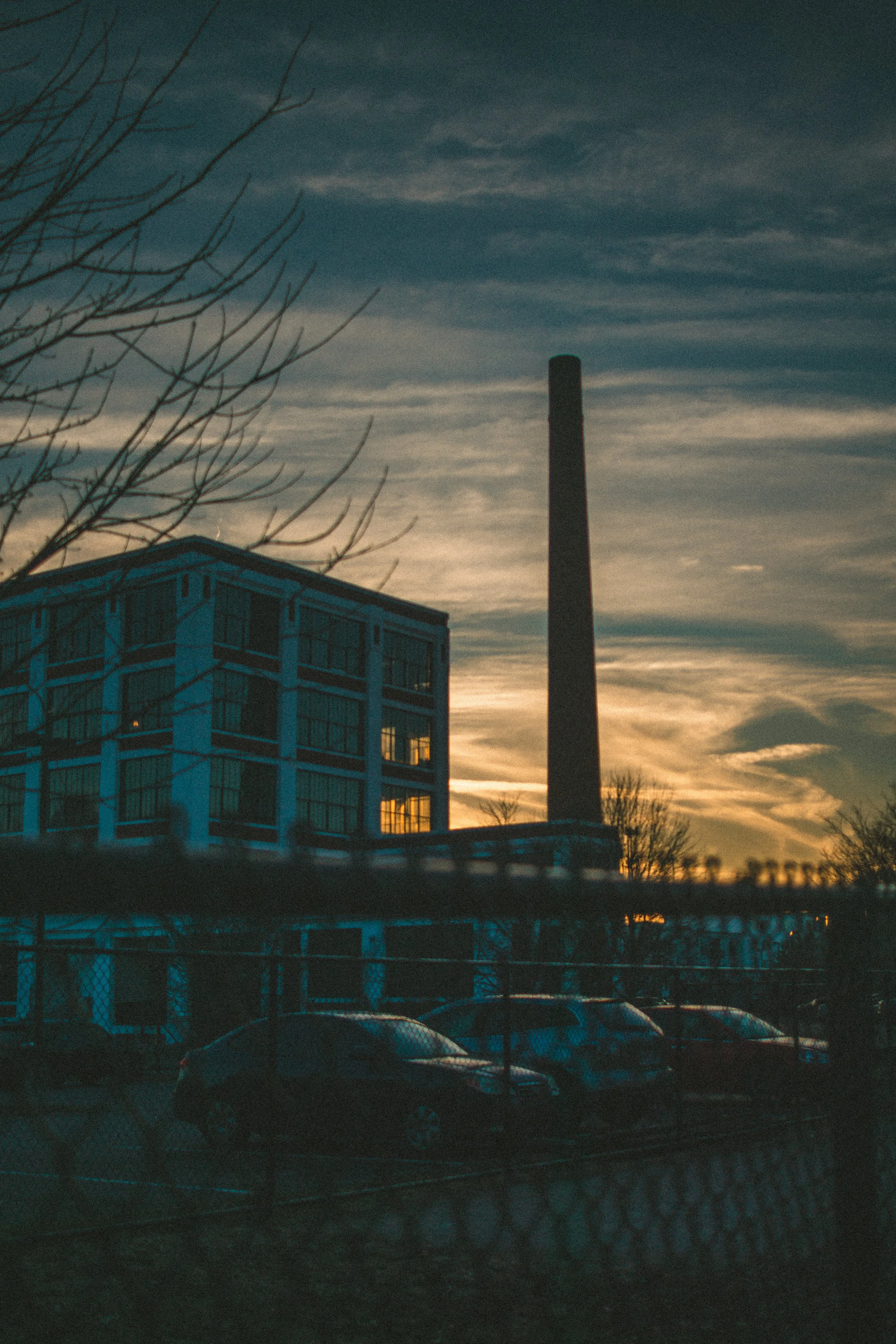 Jan 7 walk-45.jpg