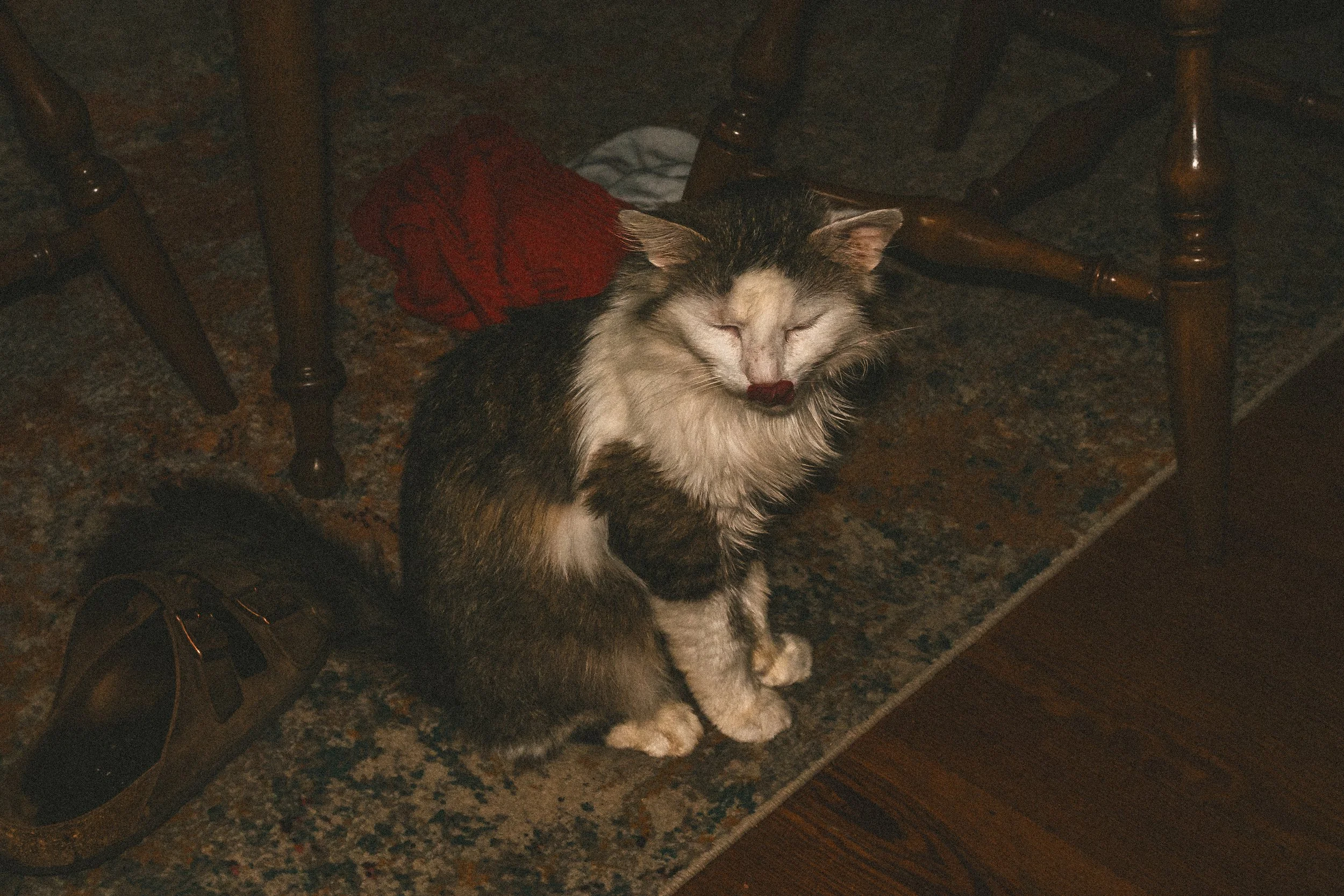 misc nrthsid-66.jpg