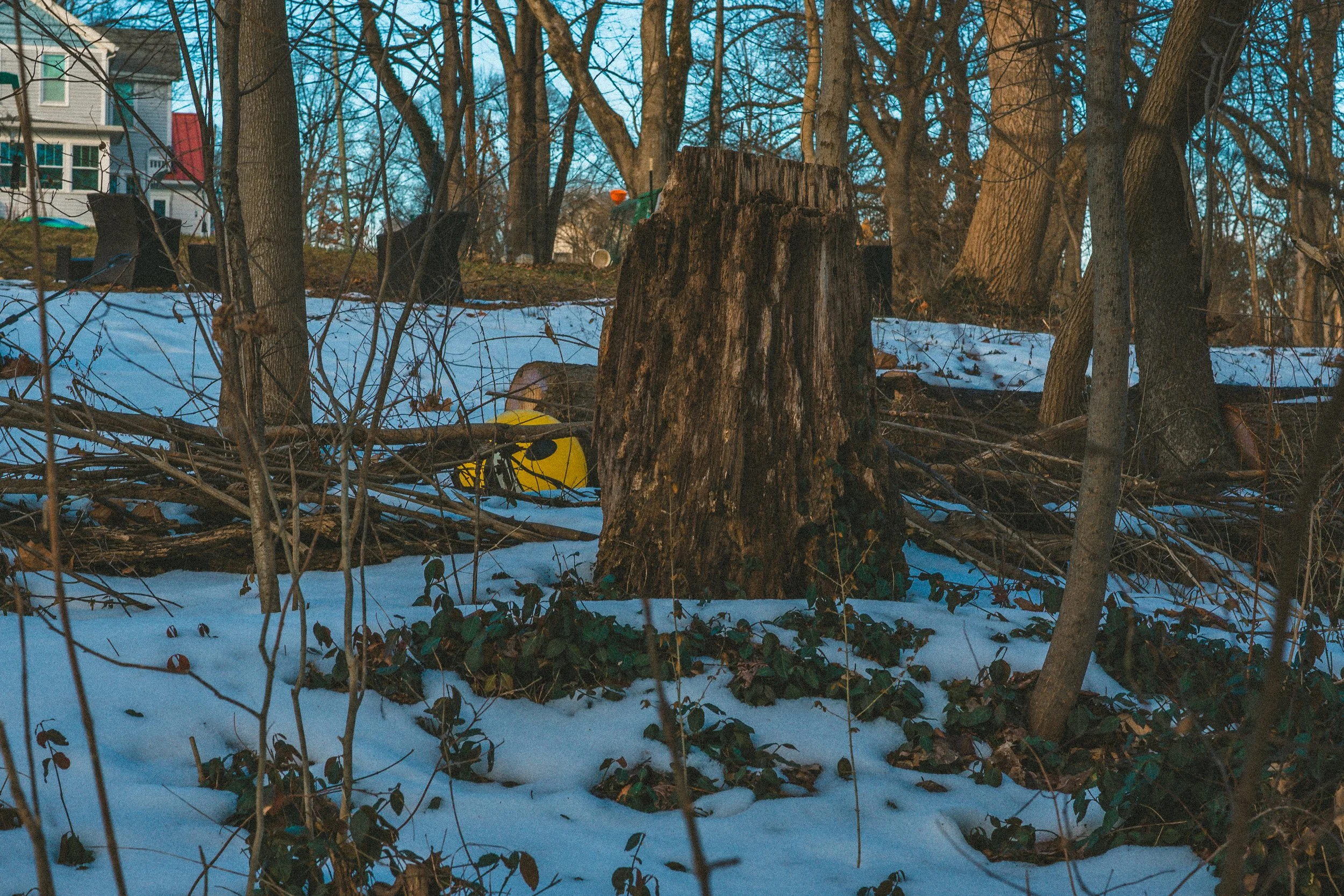 Feb 9-34.jpg