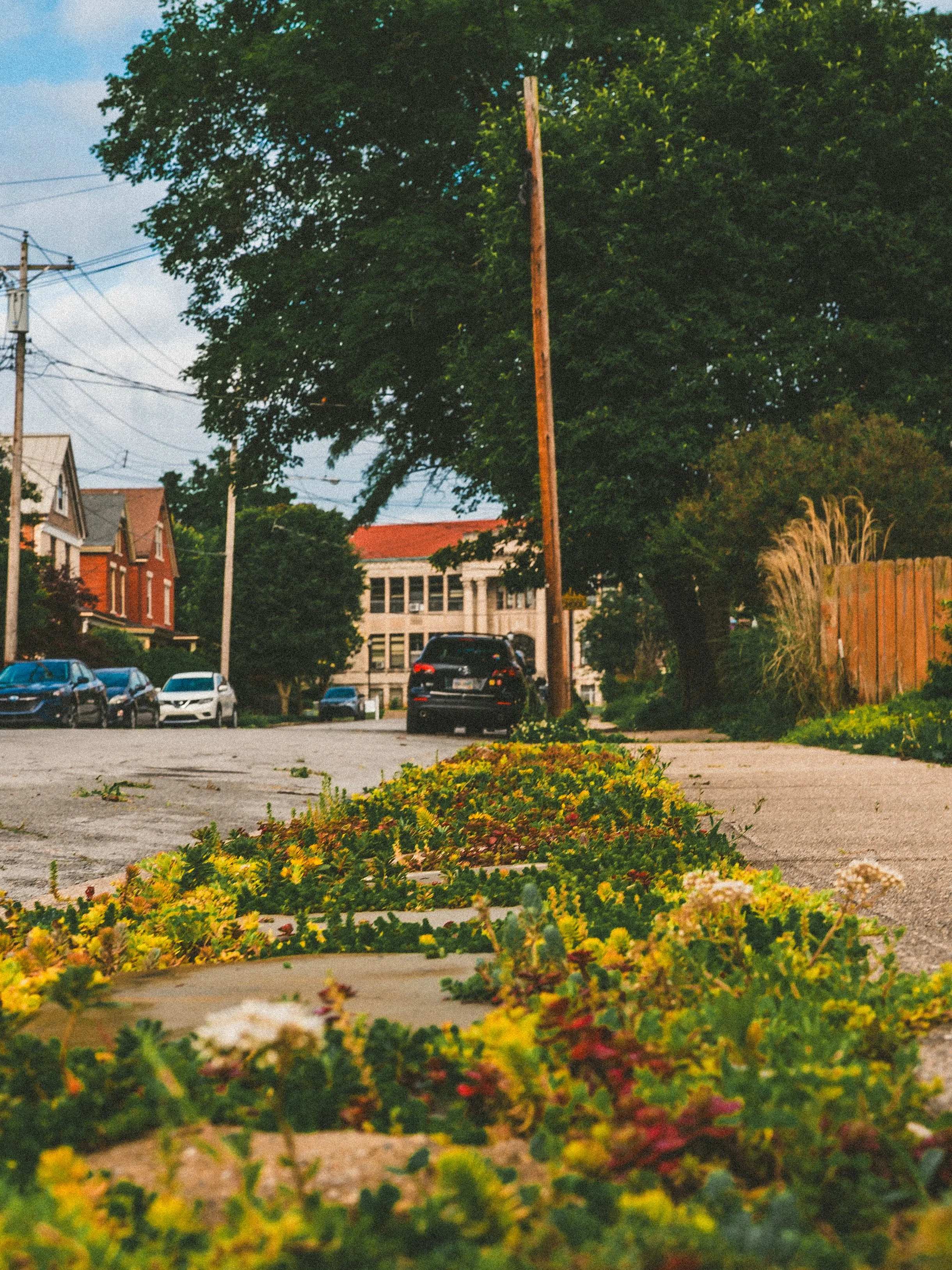 northside misc-9.jpg
