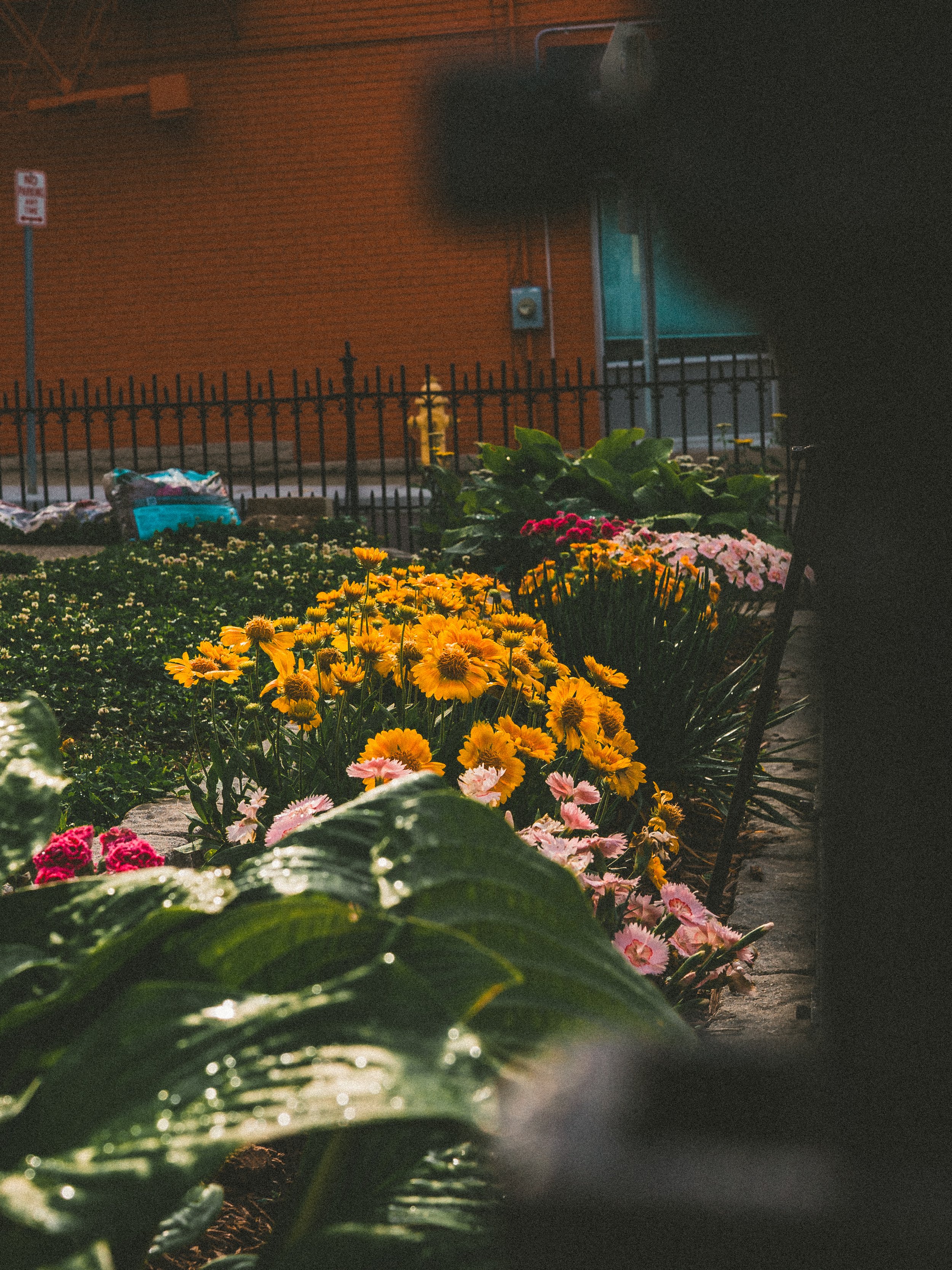northside misc-20.jpg