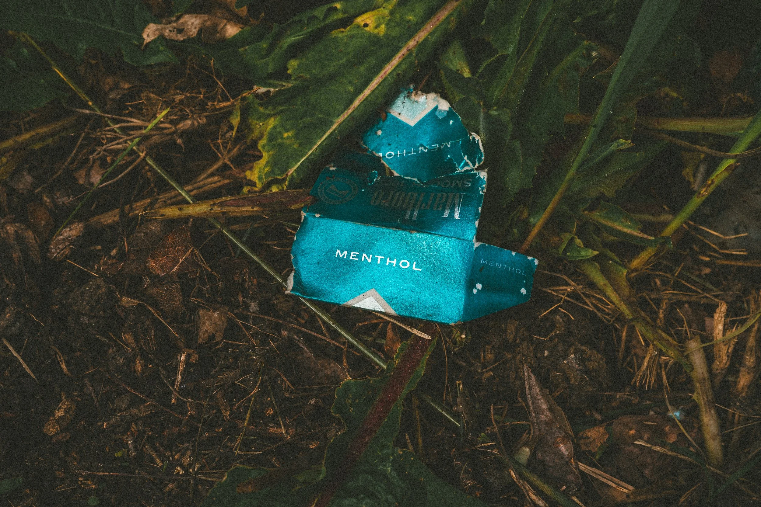 northside misc-29.jpg