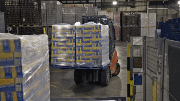 ezgif-3-d53e62472e.gif