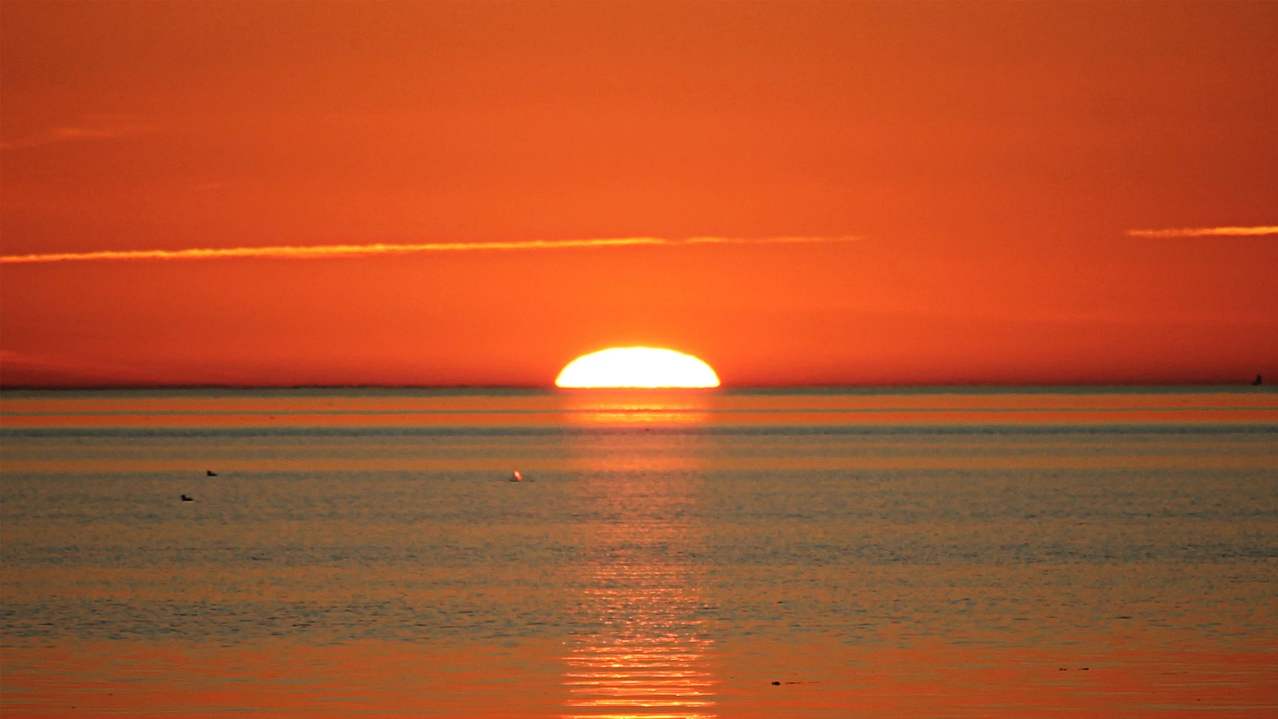 Corona STIS_original_SUNSET 7.jpg