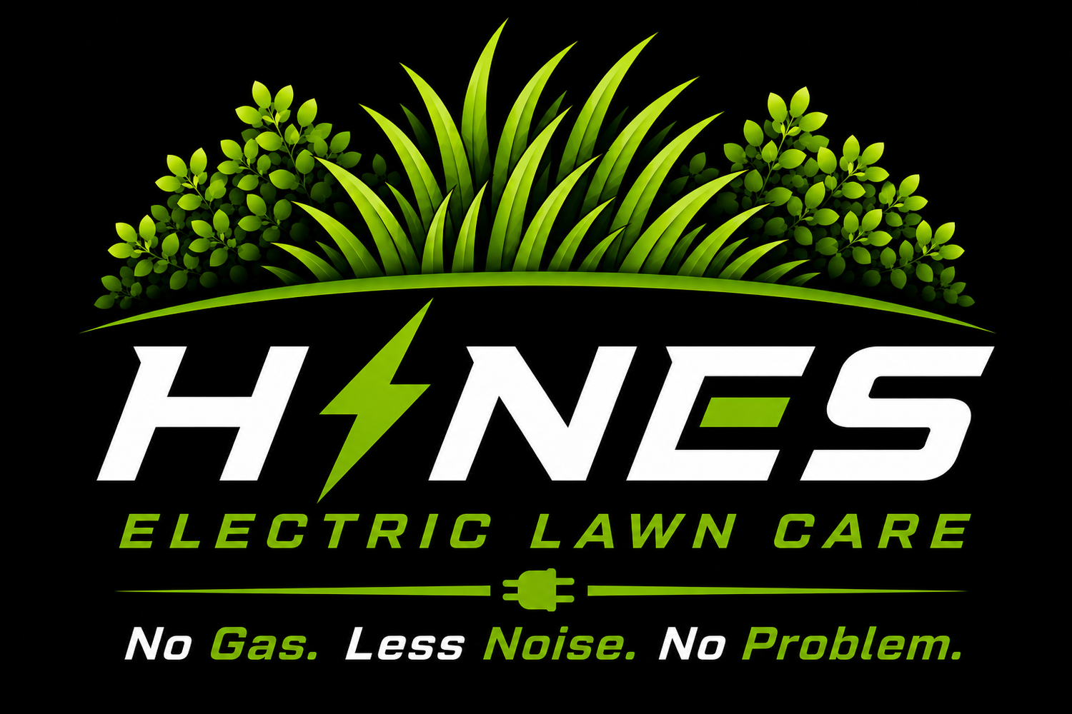 Hines Electric Lawn Care  | Eco-Friendly Lawn Care - Schedule Now