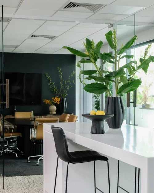 TIPALEA PARTNERS SYDNEY