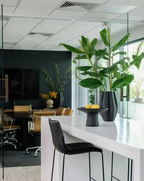 Tipalea Partners Workplace Office KCreative Interiors .webp
