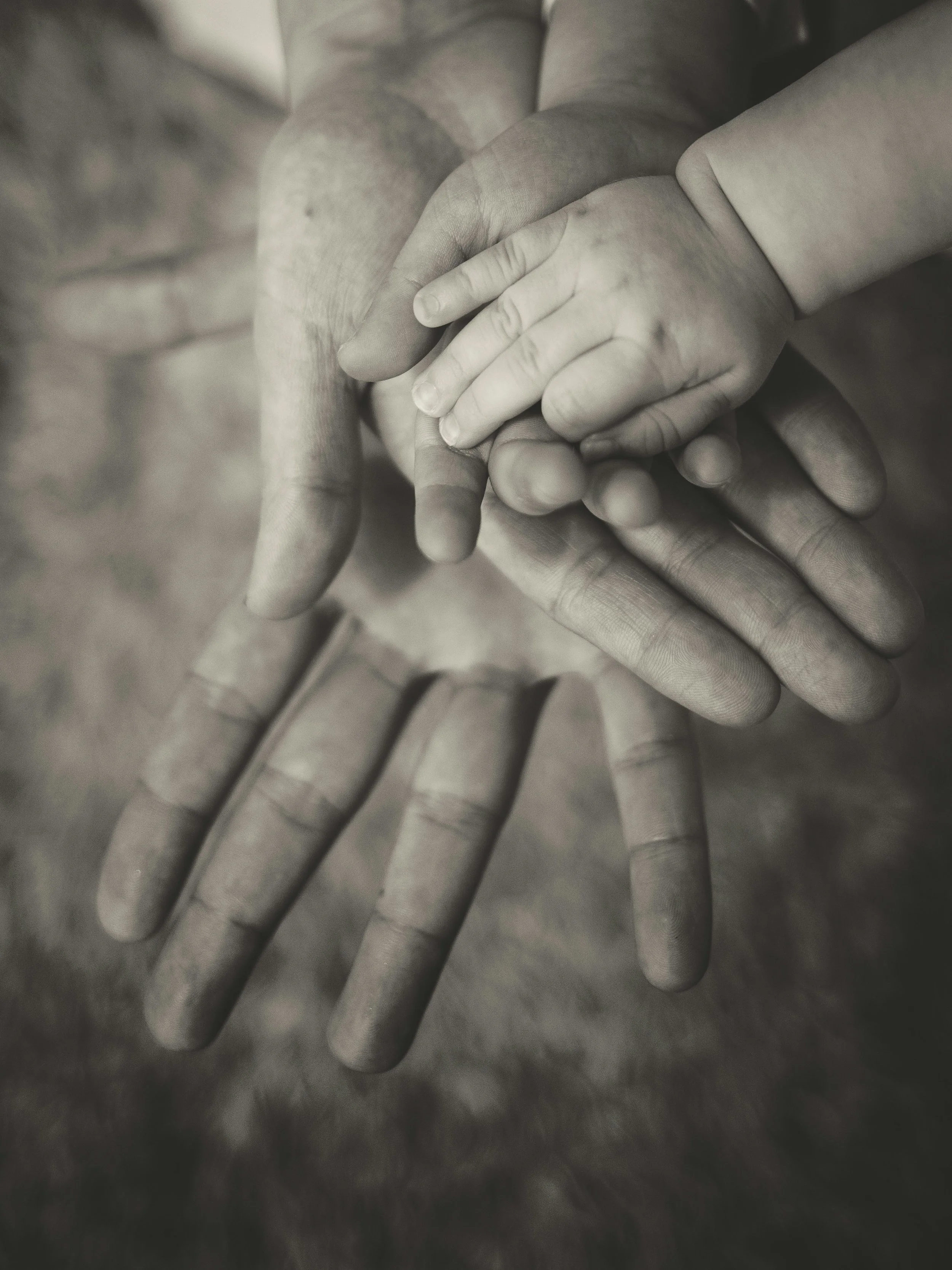 Embracing our Humanity