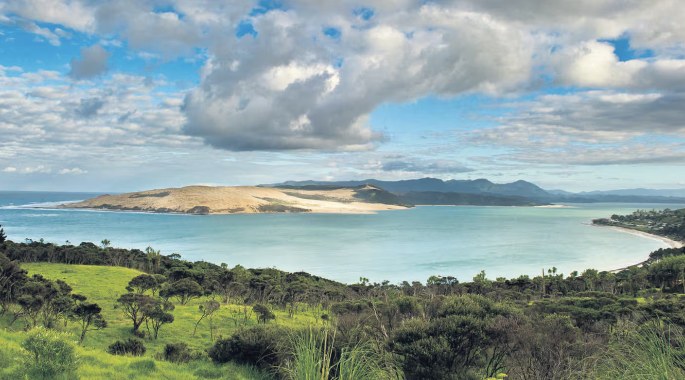 A scenic view of a large body of water with land and mountains in the background, green trees and grass in the foreground, partly cloudy sky overhead.