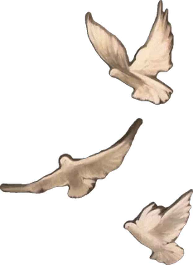 Three white doves flying against a black background.