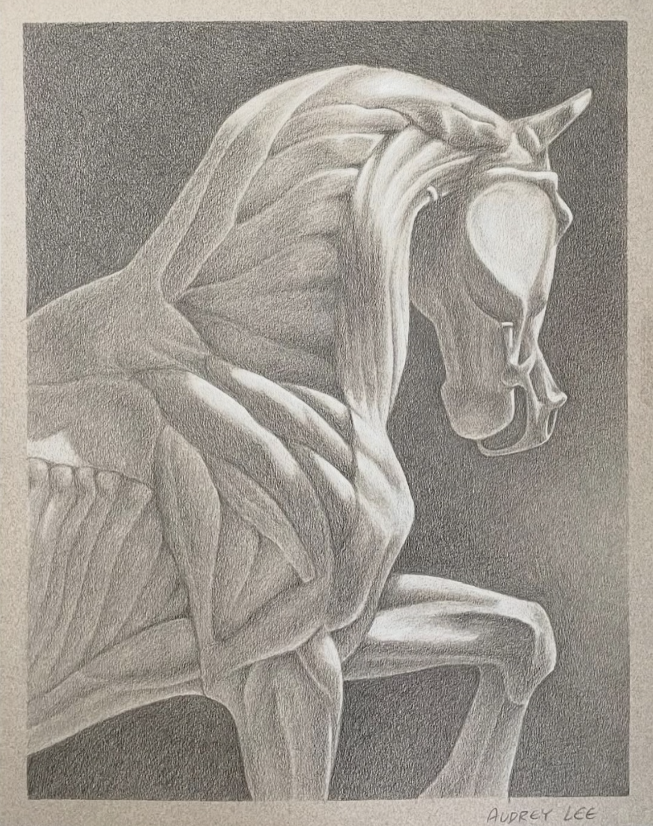 color pencil