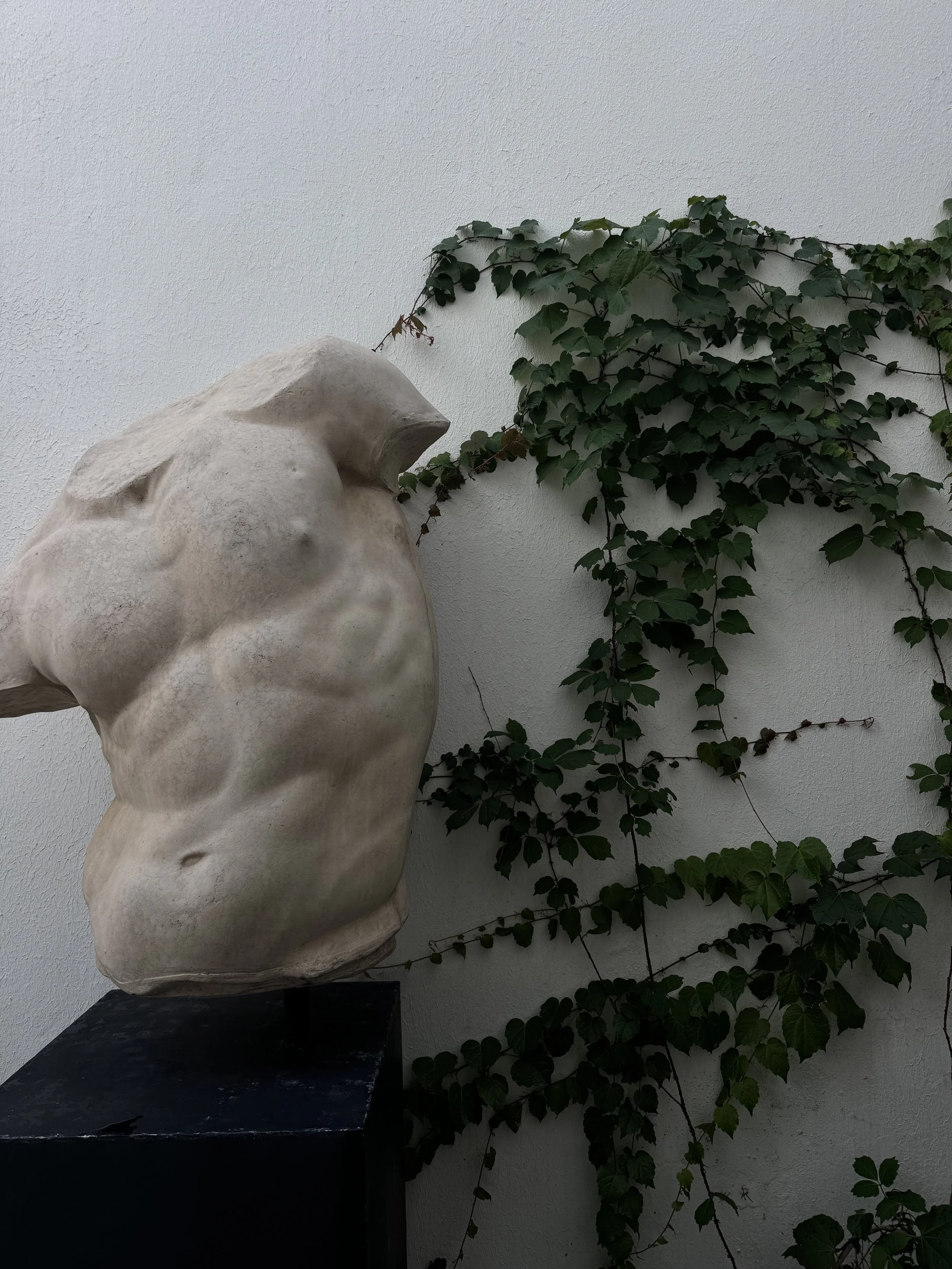 A white marble sculpture of a head and torso mounted on a black pedestal, with green ivy climbing on a white wall in the background.