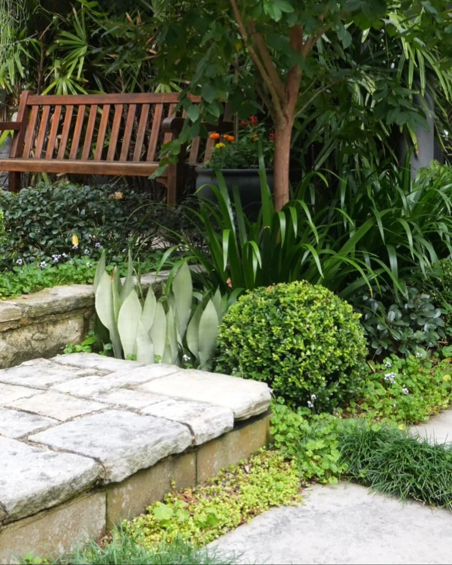 Smokebush_studio_Vaucluse_IMG_6777.JPG
