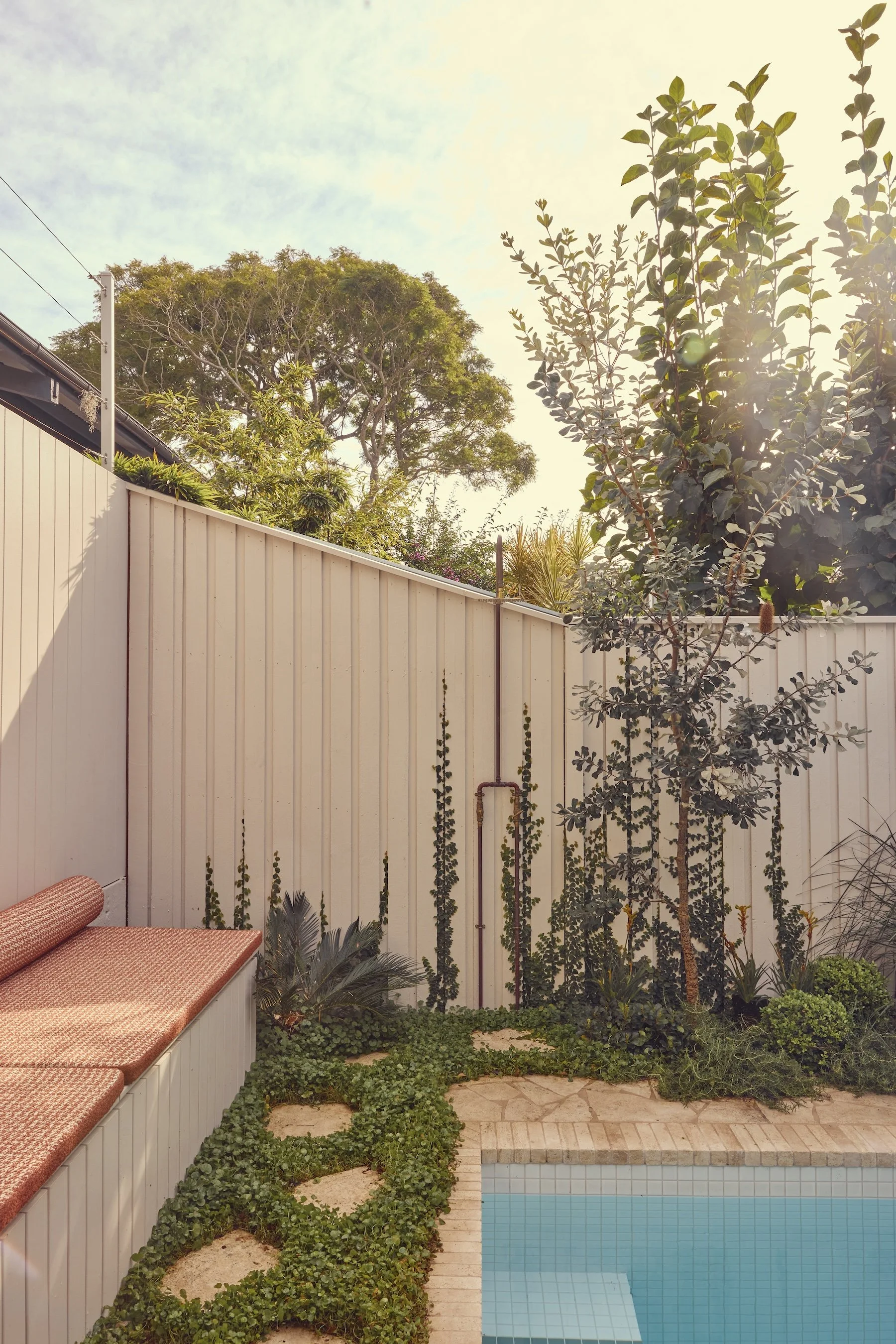 Smokebush_studio_Balmain_SMac-HG-AL-16623.jpg