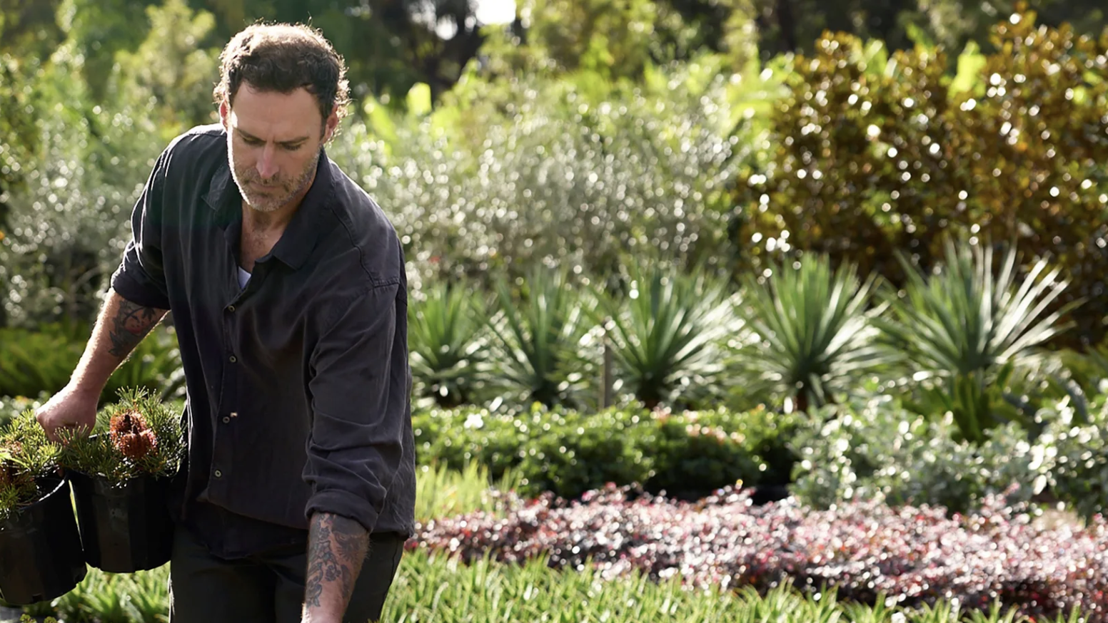 A landscape designer’s guide to structural planting in winter
