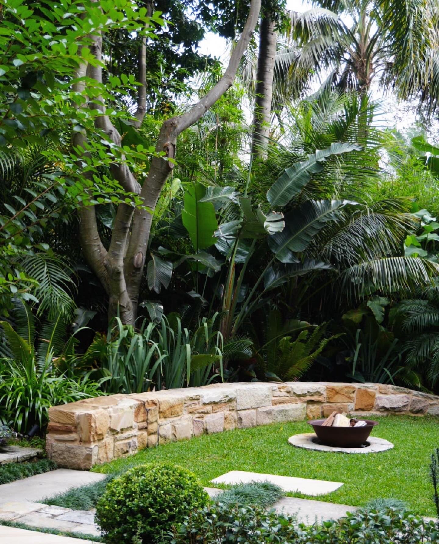 Smokebush_studio_Vaucluse_IMG_6778.JPG