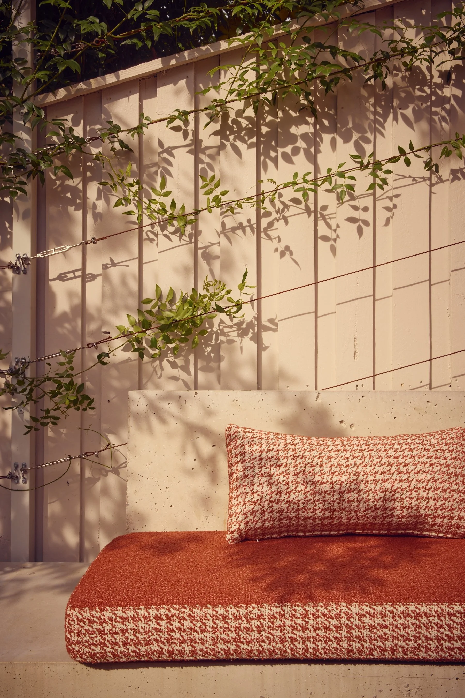 Smokebush_studio_Balmain_SMac-HG-AL-16619.jpg