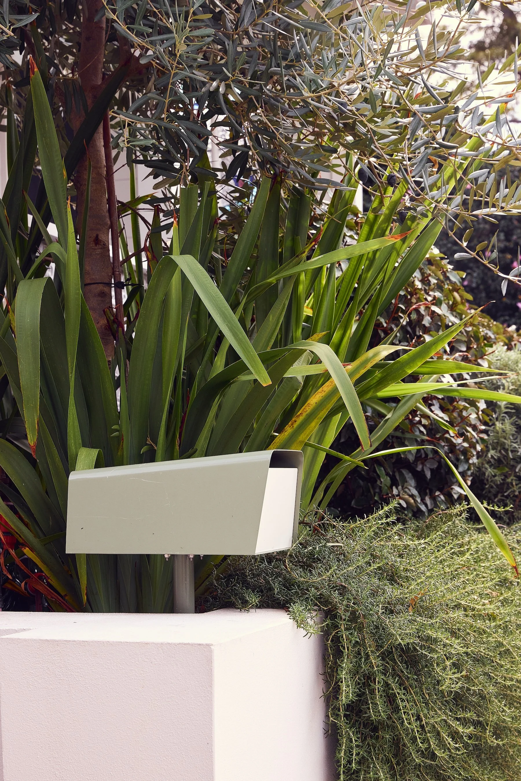 Smokebush_studio_Balmain_SMac-HG-AL-16832.jpg