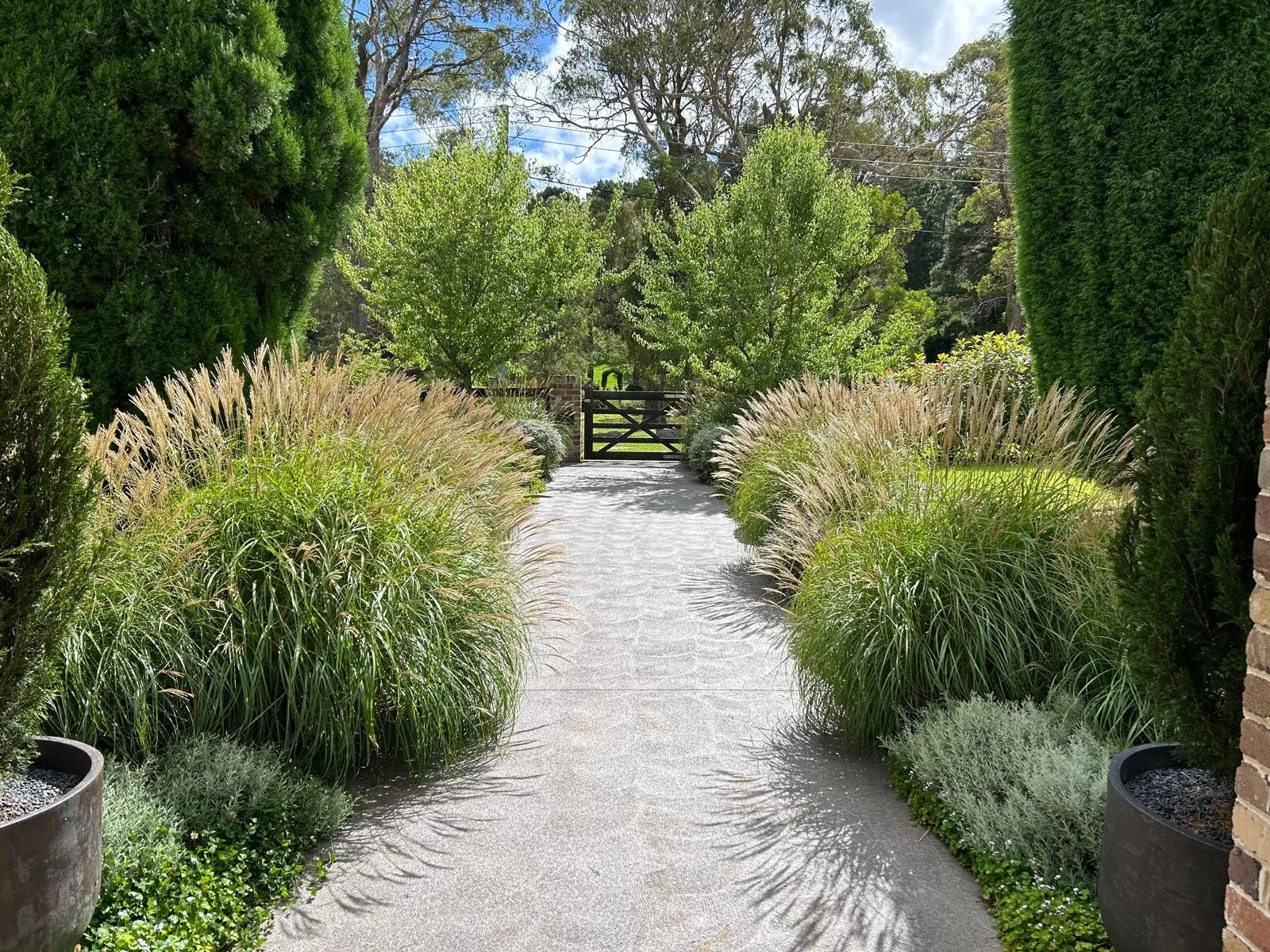 Smokebush_studio_Burradoo_IMG-20250318-WA0007.jpg