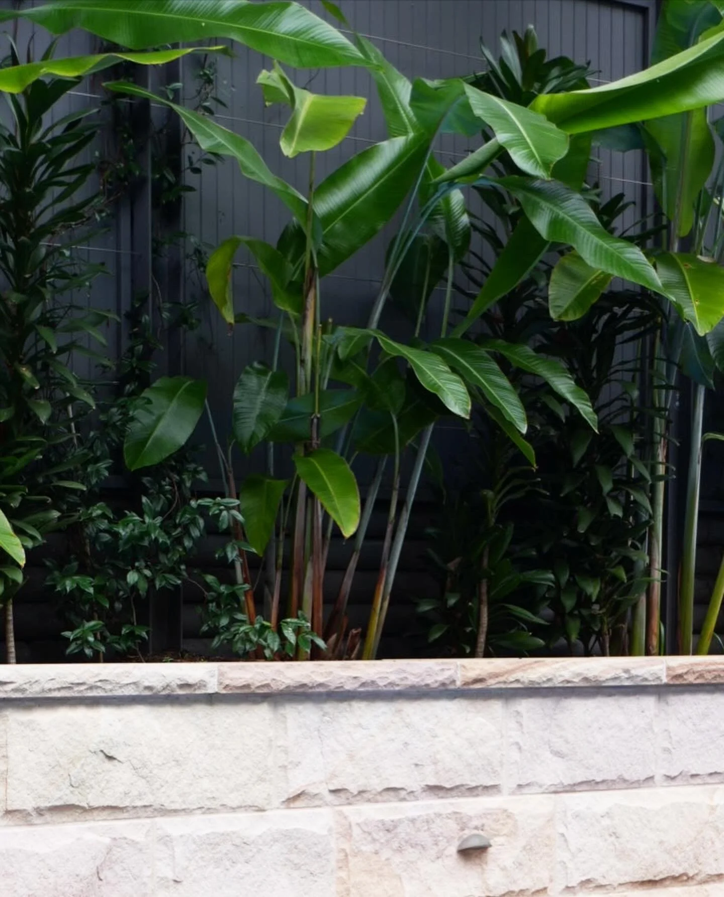 Smokebush_studio_Vaucluse_IMG_6772.JPG