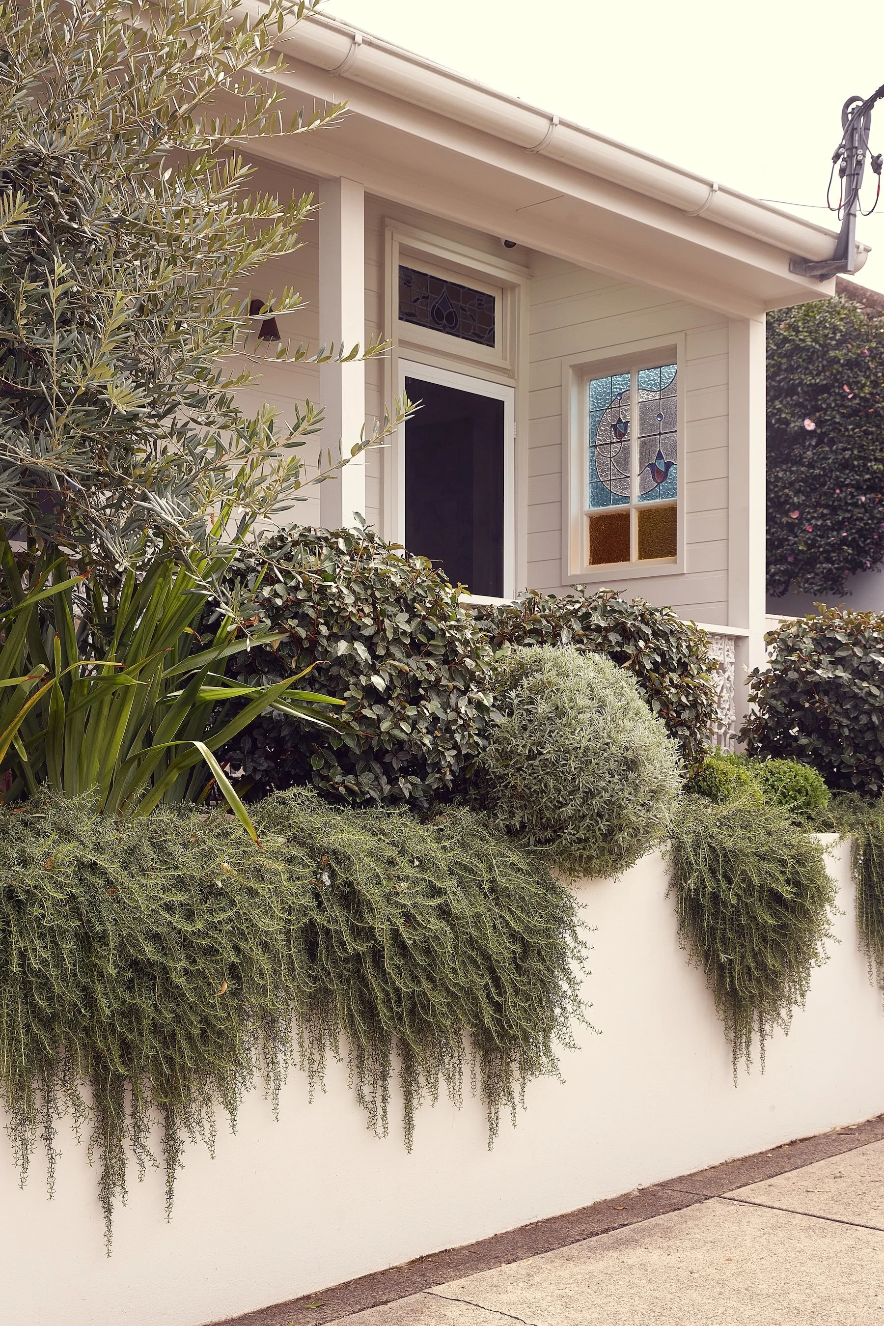 An intimate city garden transformed into a lush urban retreat