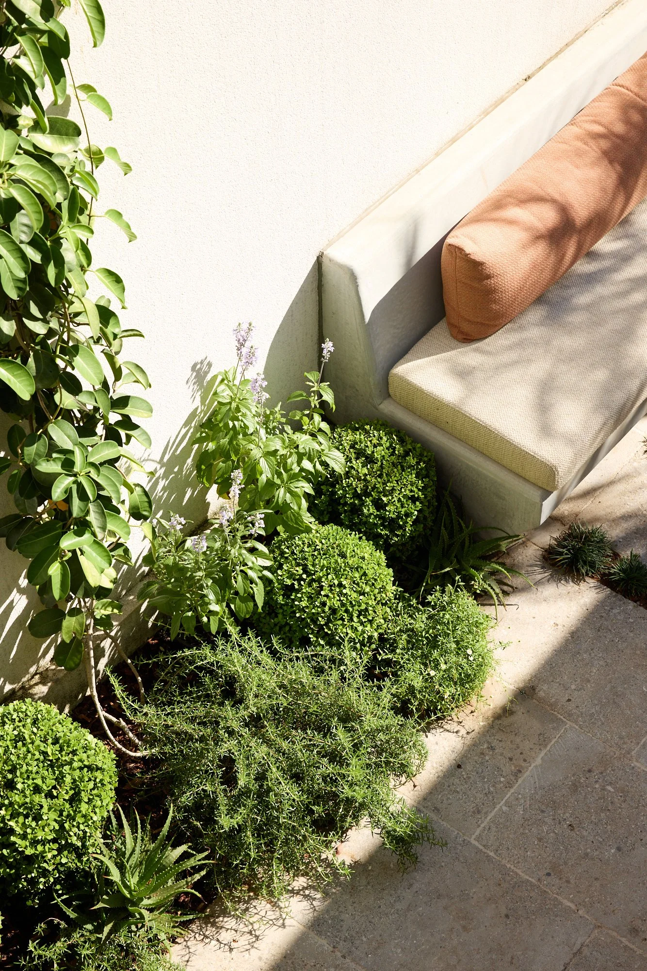 Smokebush_studio_260311_H&G_Nate_144PaddingtonSt_28.jpg