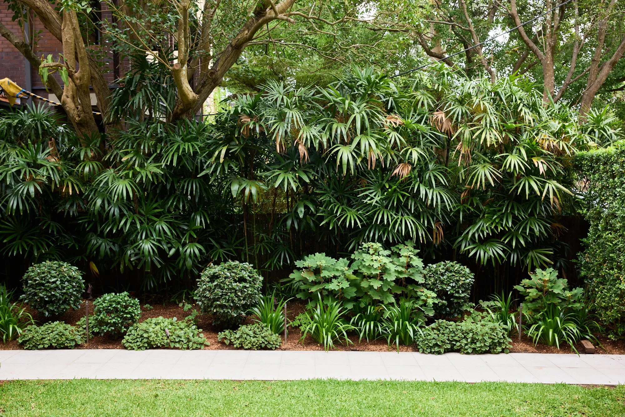 Smokebush_studio_Centennial_Park_260114_H&G_NateWhite_62LangRd_Garden_50.jpg