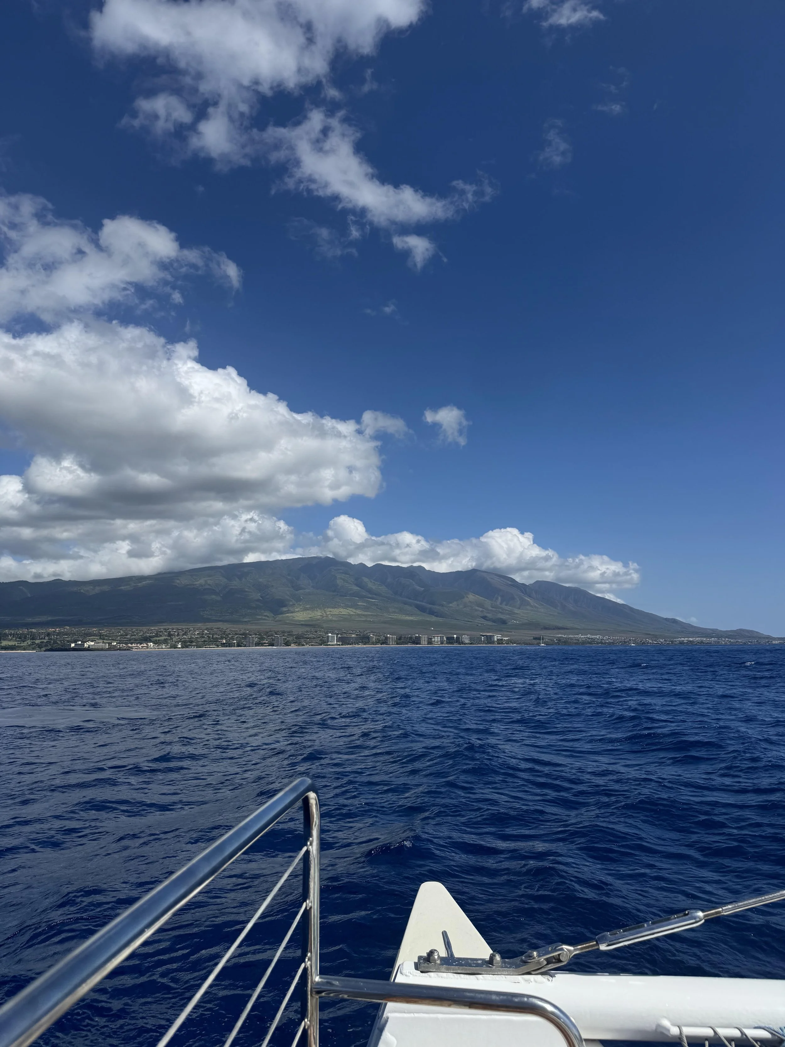 sea-maui-west-maui.jpeg