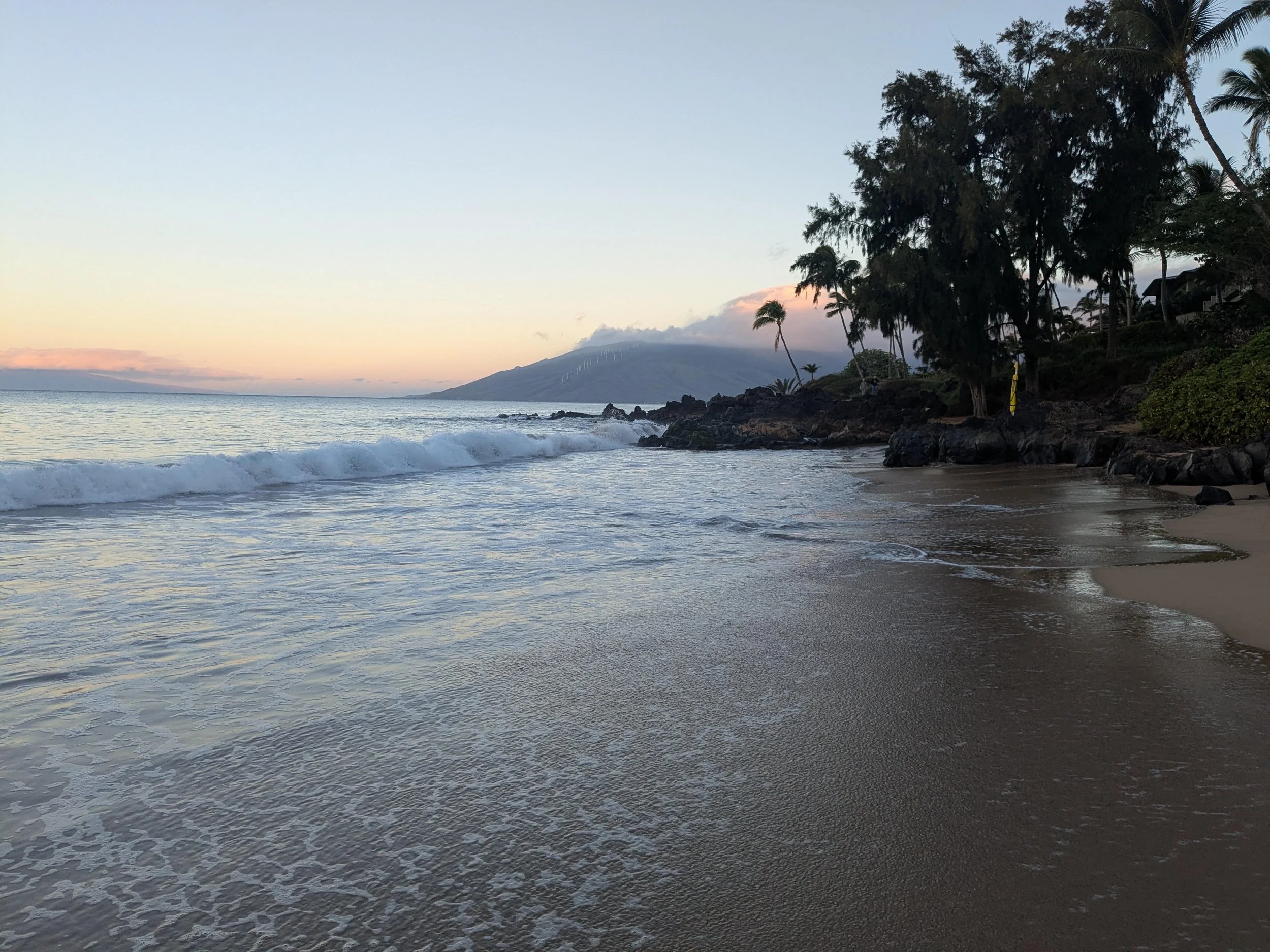 maui-wowie-kihei-maui.jpeg