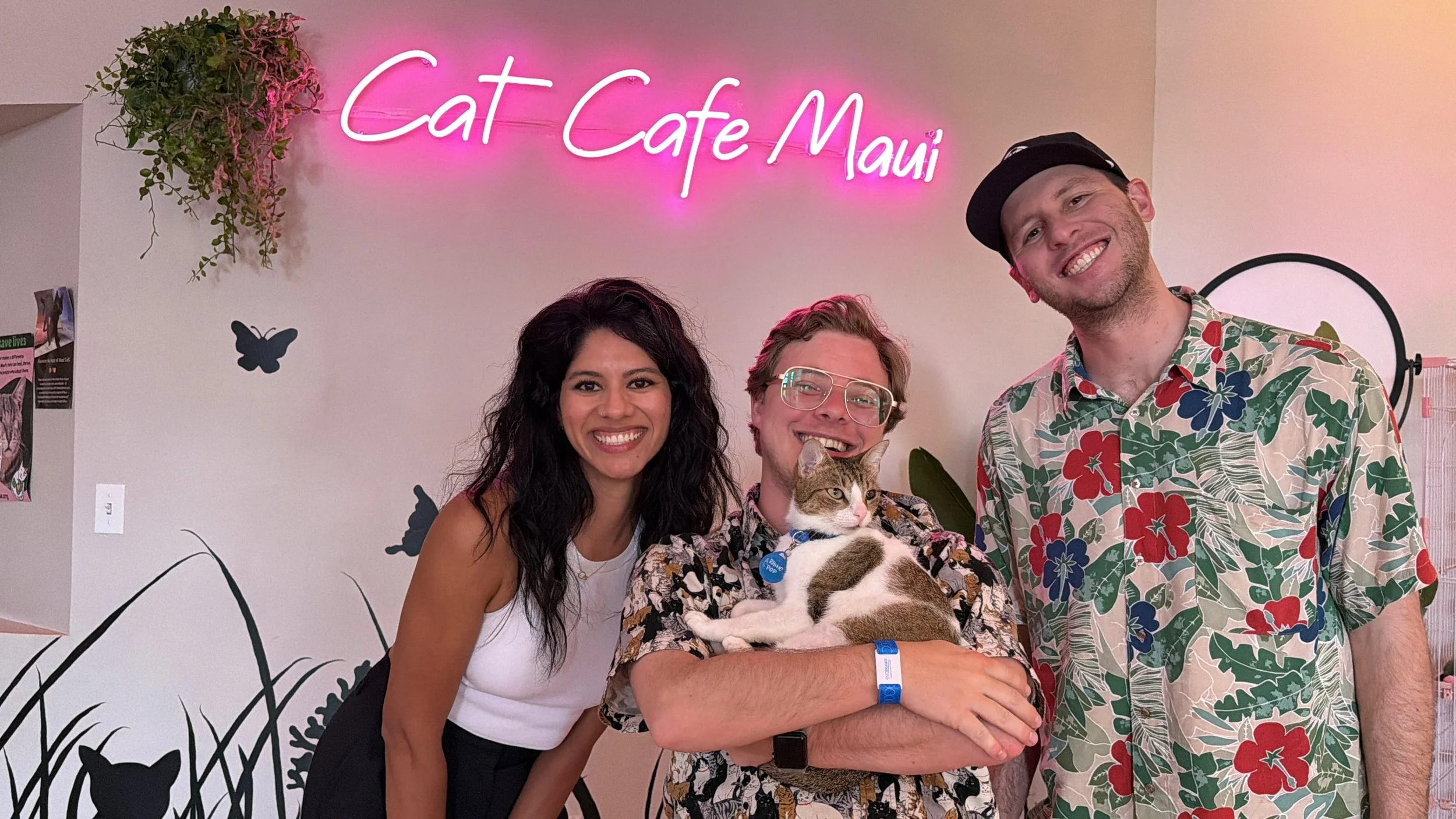 group-rhino-pop-maui-cat-cafe.jpeg