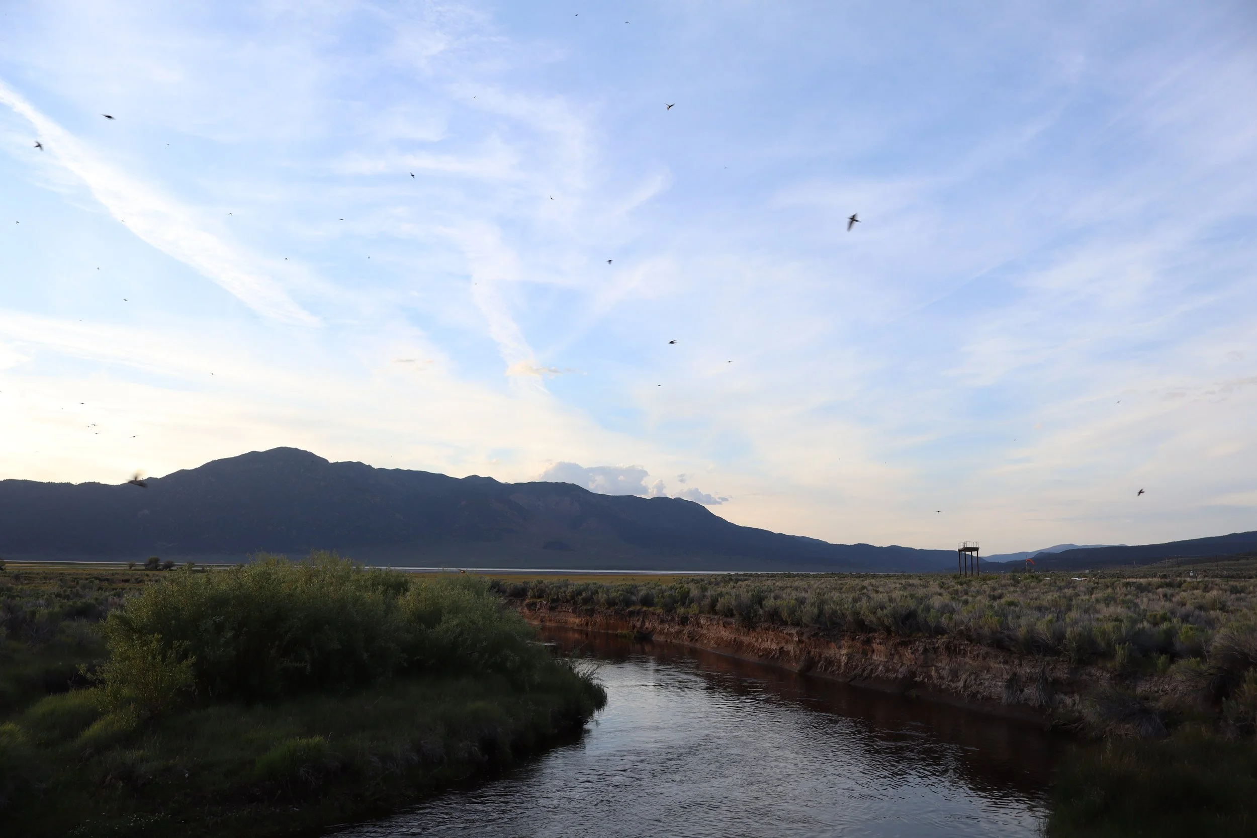 A landscape scene with a river flowing through the foreground, green bushes on the riverbanks, mountains in the background, and a sky with scattered clouds and birds flying.