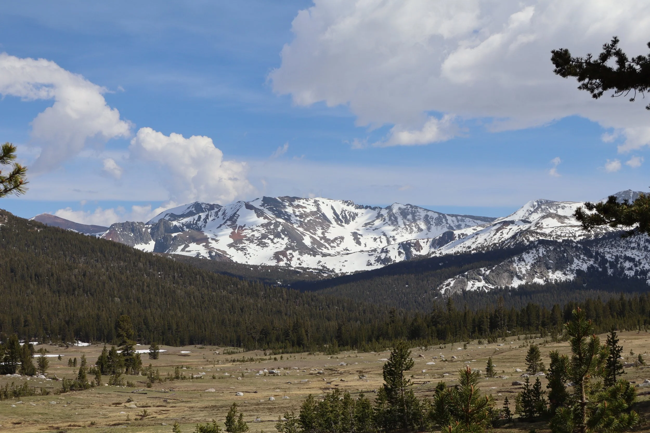 Snow-capped mountains under a partly cloudy blue sky, with a forested valley in the foreground and some pine trees on the sides.