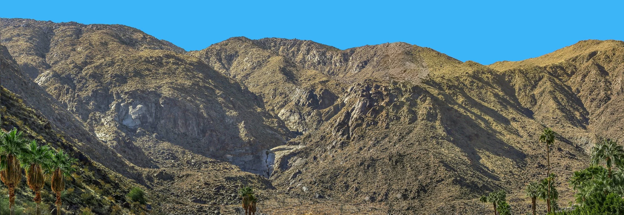 spliced2 - cropped.jpg