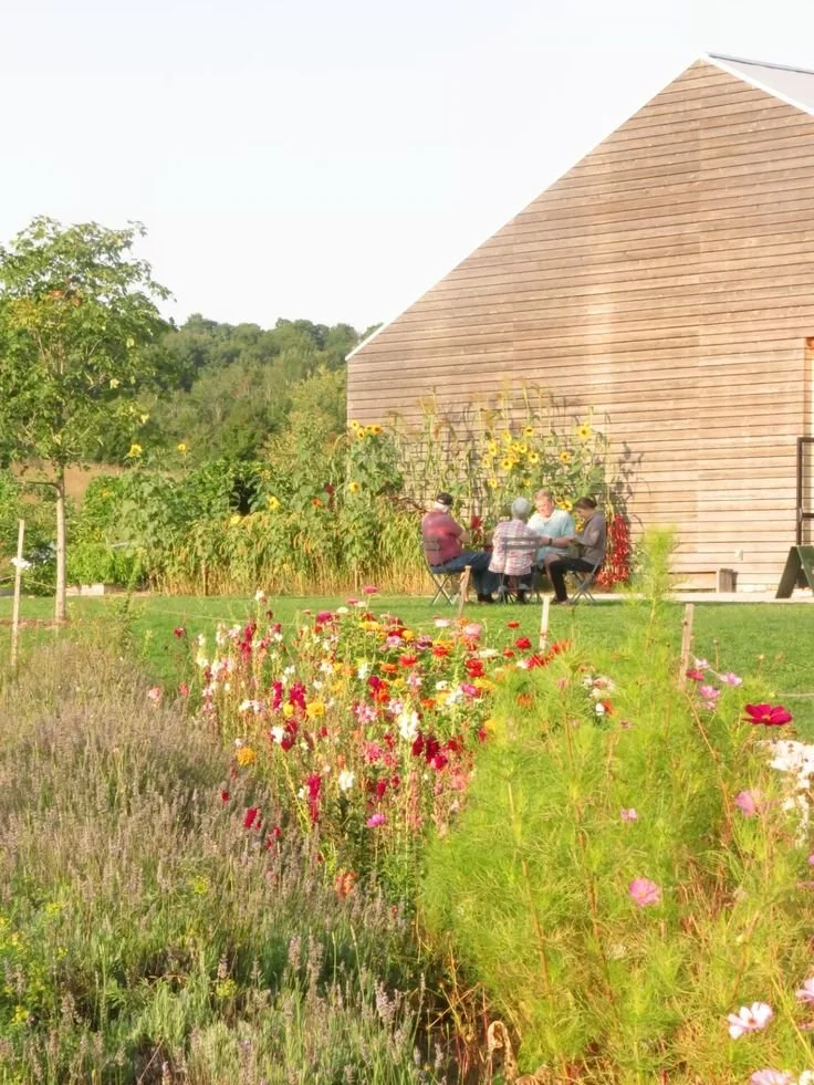 Four people sitting around a table outdoors near a wooden barn, surrounded by colorful flower garden and sunflower plants.