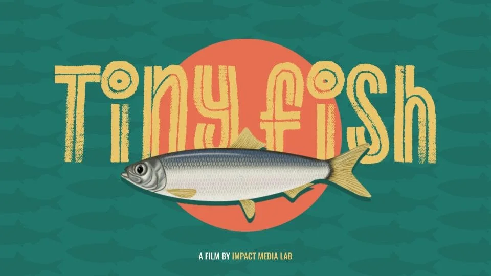 Tiny Fish - Cinematographer
