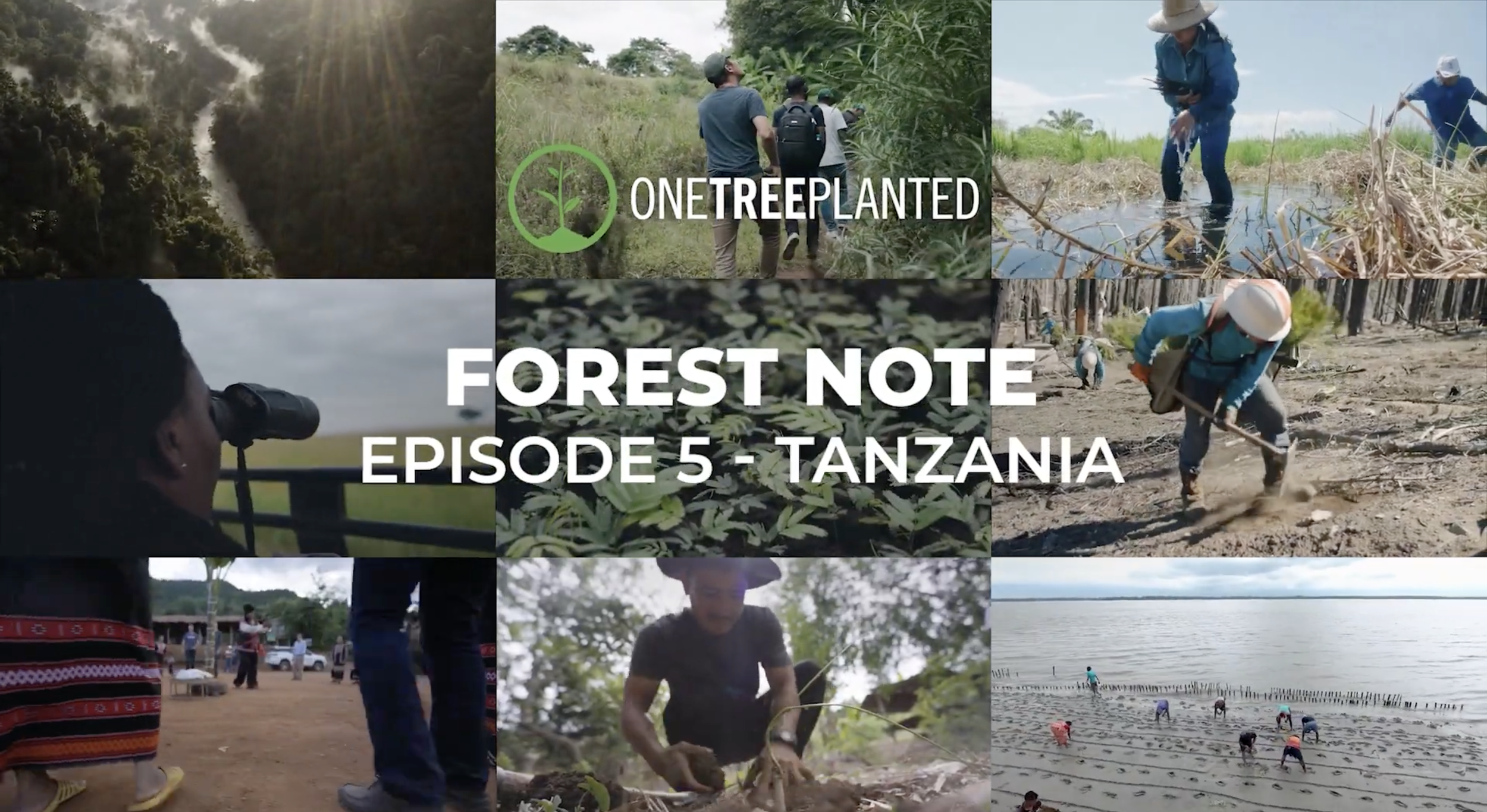 Forest Note Series - Producer / Editor